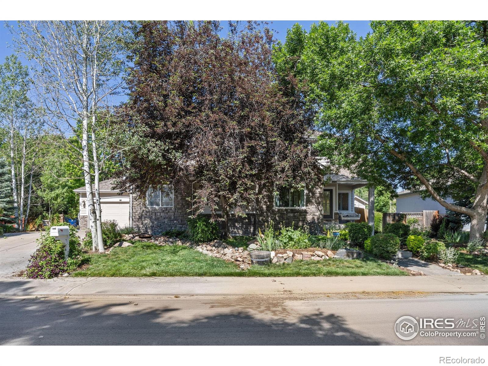 MLS Image #6 for 1892  bell drive,erie, Colorado
