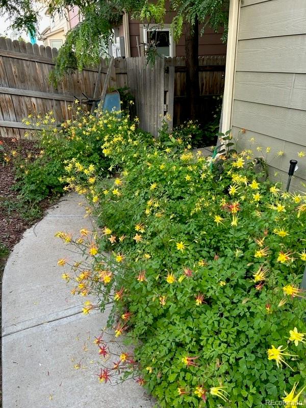 MLS Image #24 for 6731 e 128th place,thornton, Colorado