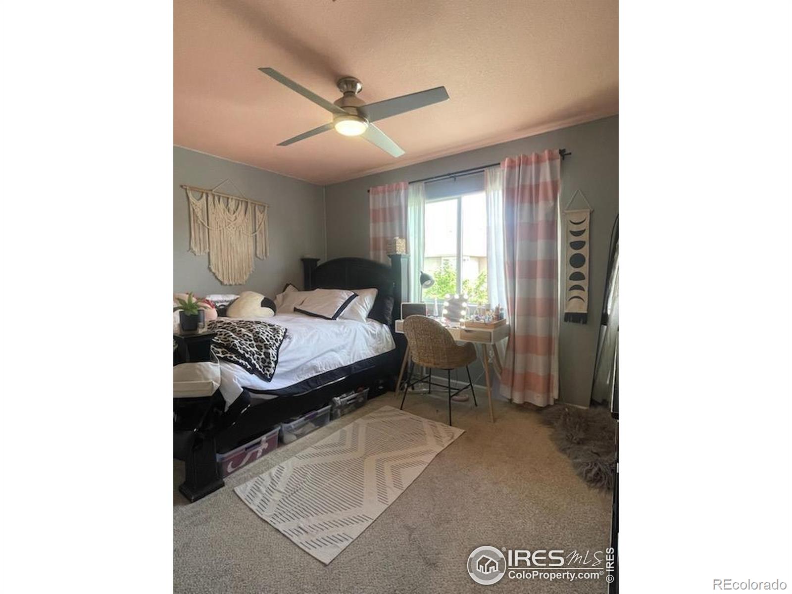 MLS Image #18 for 3620  cassiopeia lane,fort collins, Colorado