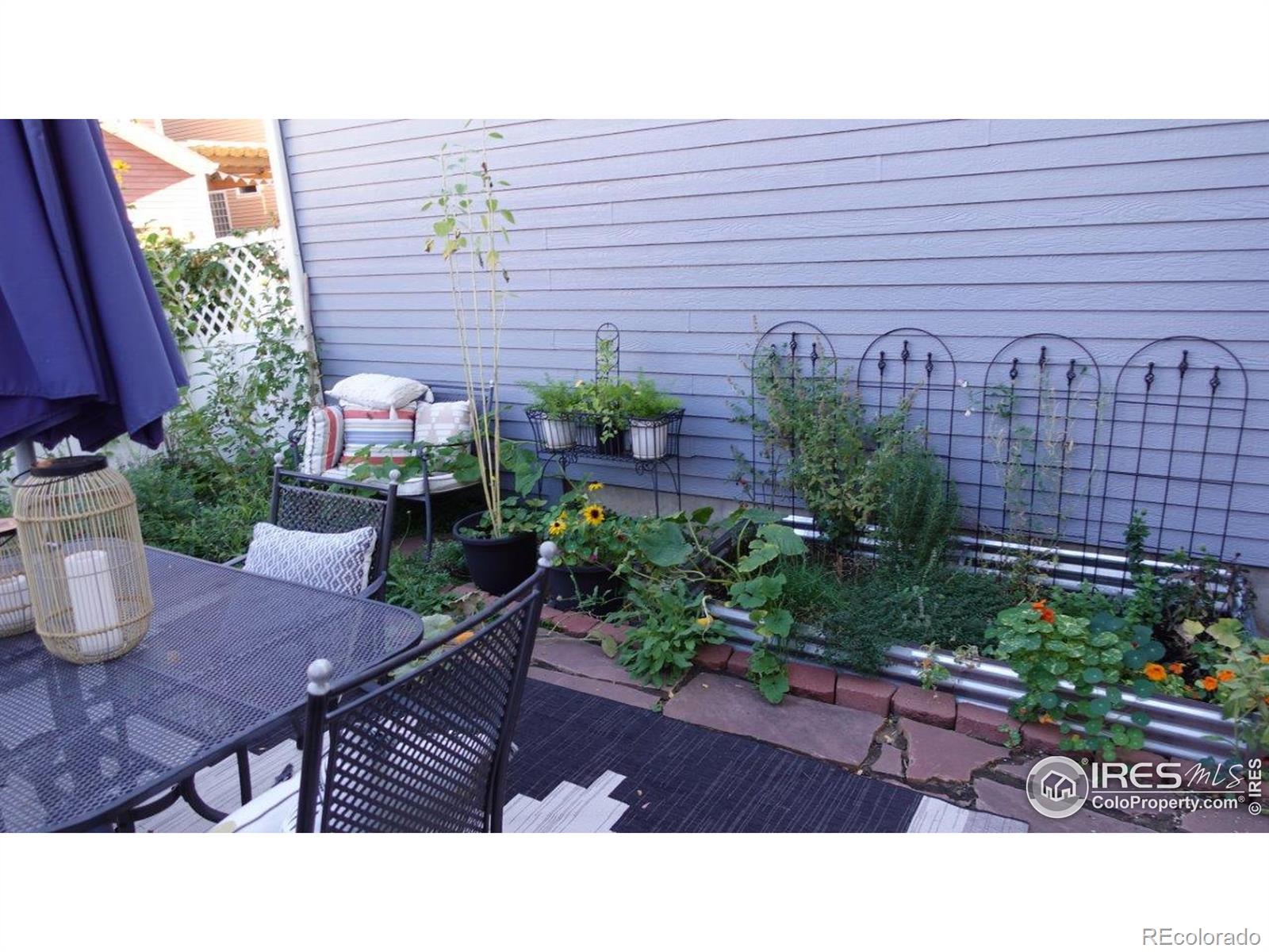 MLS Image #26 for 3620  cassiopeia lane,fort collins, Colorado