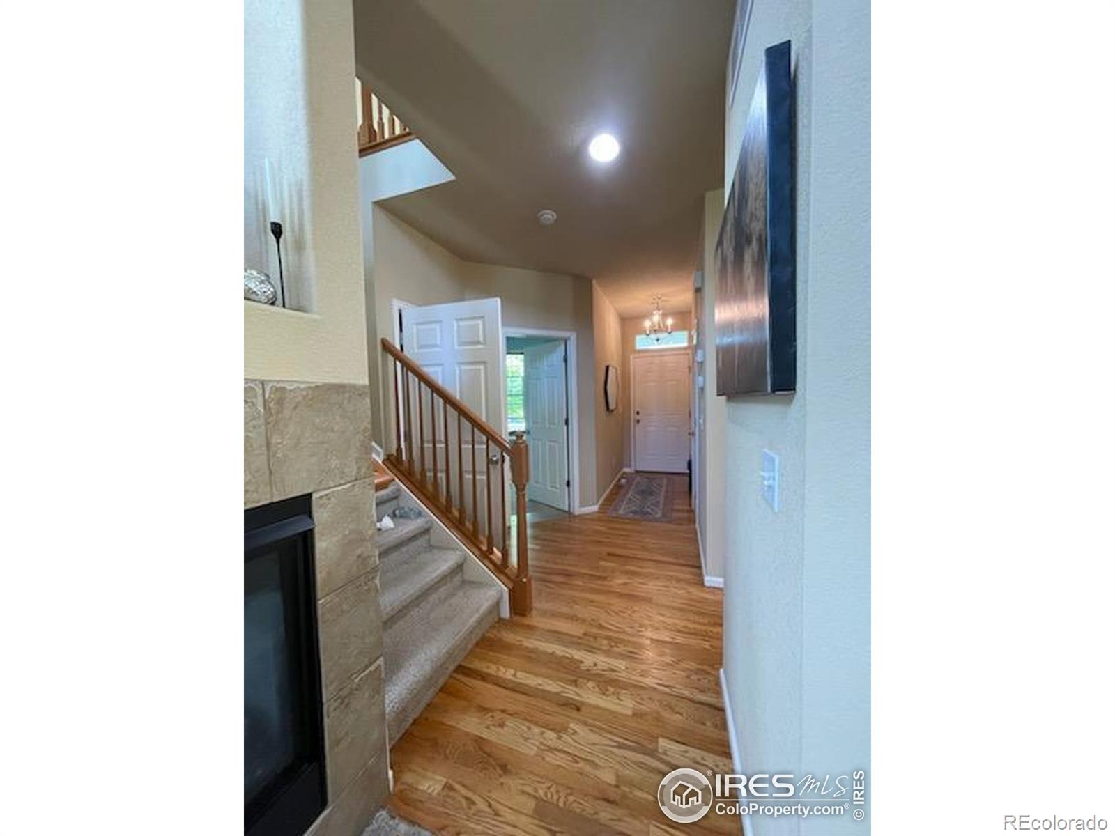 MLS Image #6 for 3620  cassiopeia lane,fort collins, Colorado