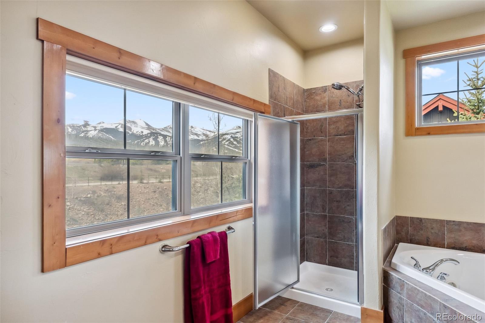 MLS Image #22 for 200  rachel lane,breckenridge, Colorado