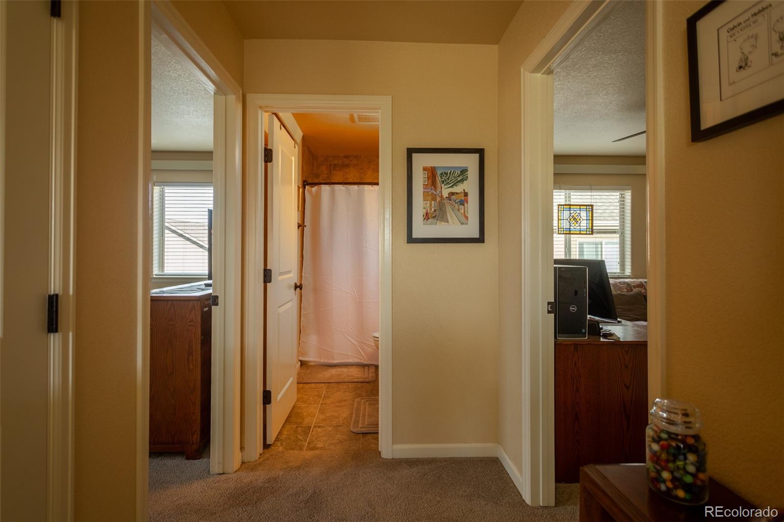 MLS Image #13 for 10473  table rock court,poncha springs, Colorado