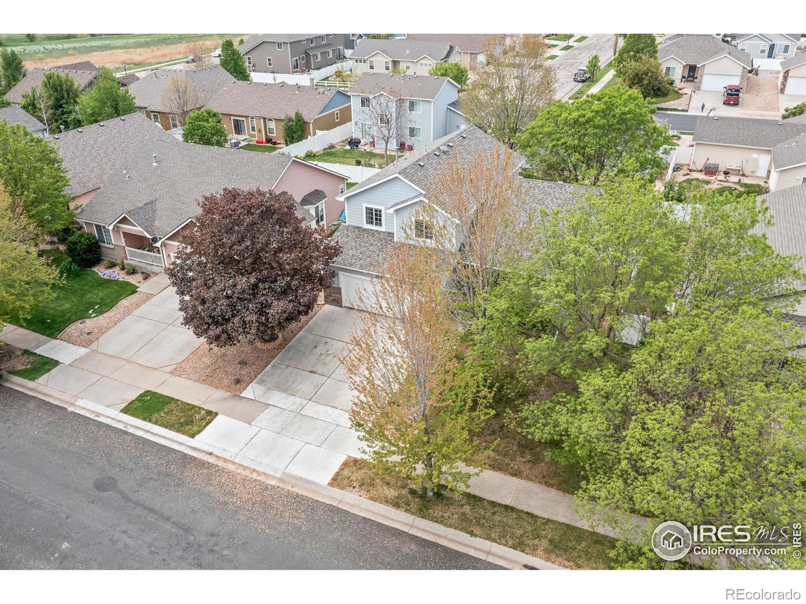 MLS Image #9 for 3325  grenache street,evans, Colorado