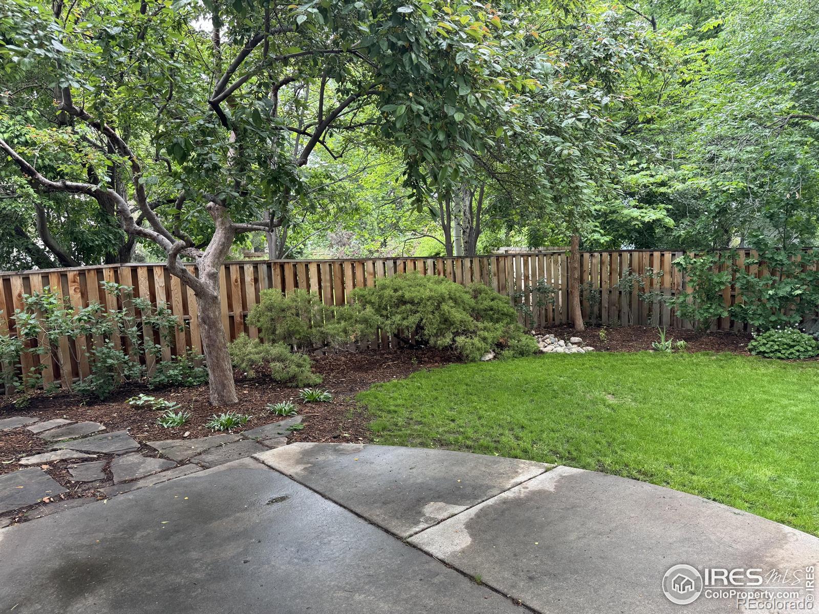 MLS Image #5 for 2720  pasquinel drive,fort collins, Colorado