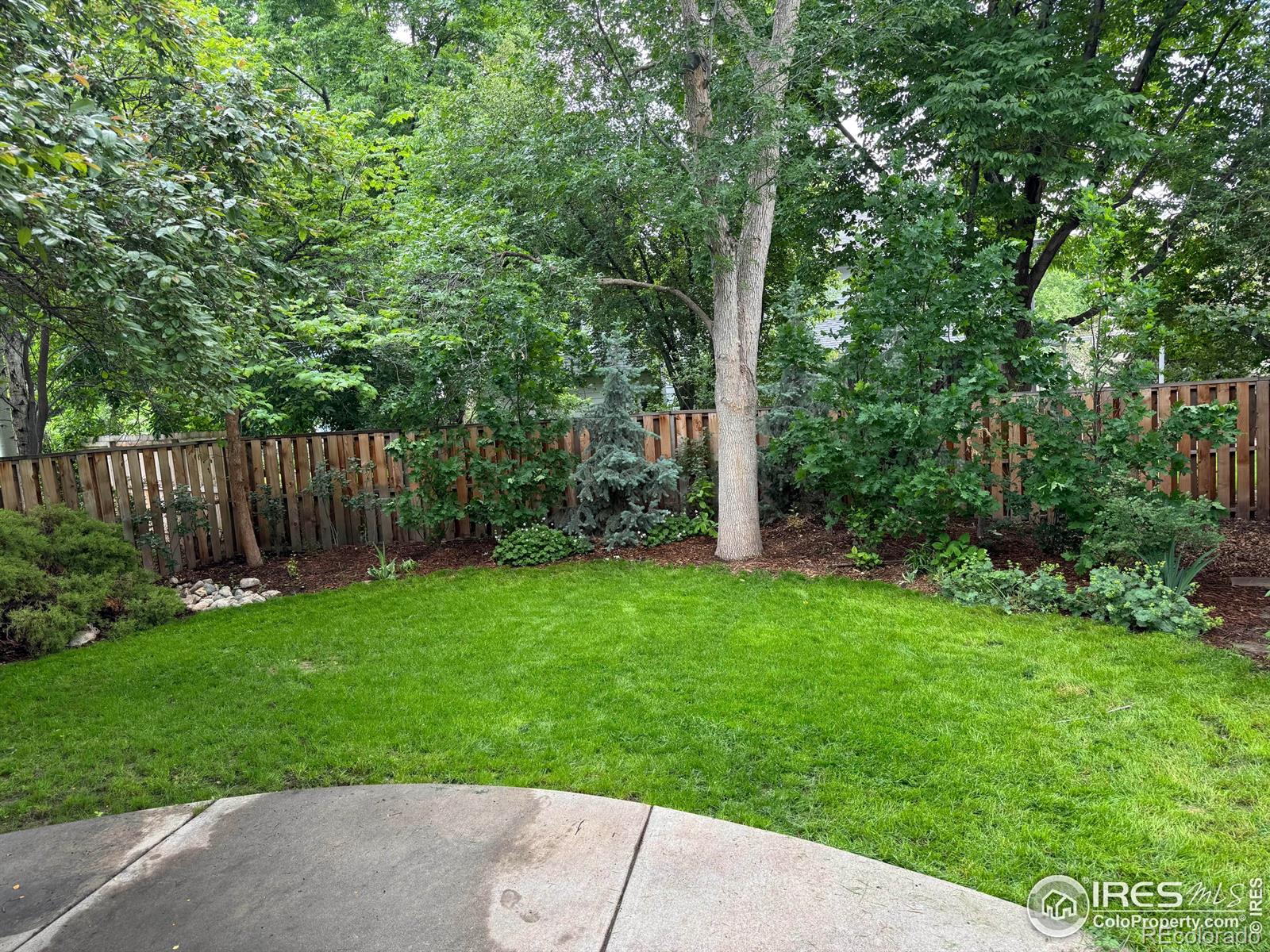 MLS Image #6 for 2720  pasquinel drive,fort collins, Colorado
