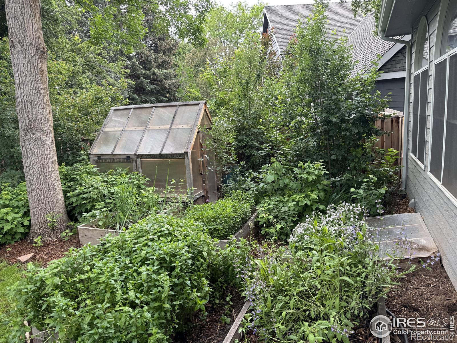 MLS Image #7 for 2720  pasquinel drive,fort collins, Colorado
