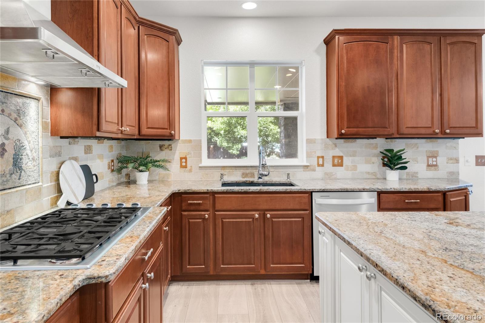 MLS Image #20 for 13971  star creek drive,broomfield, Colorado