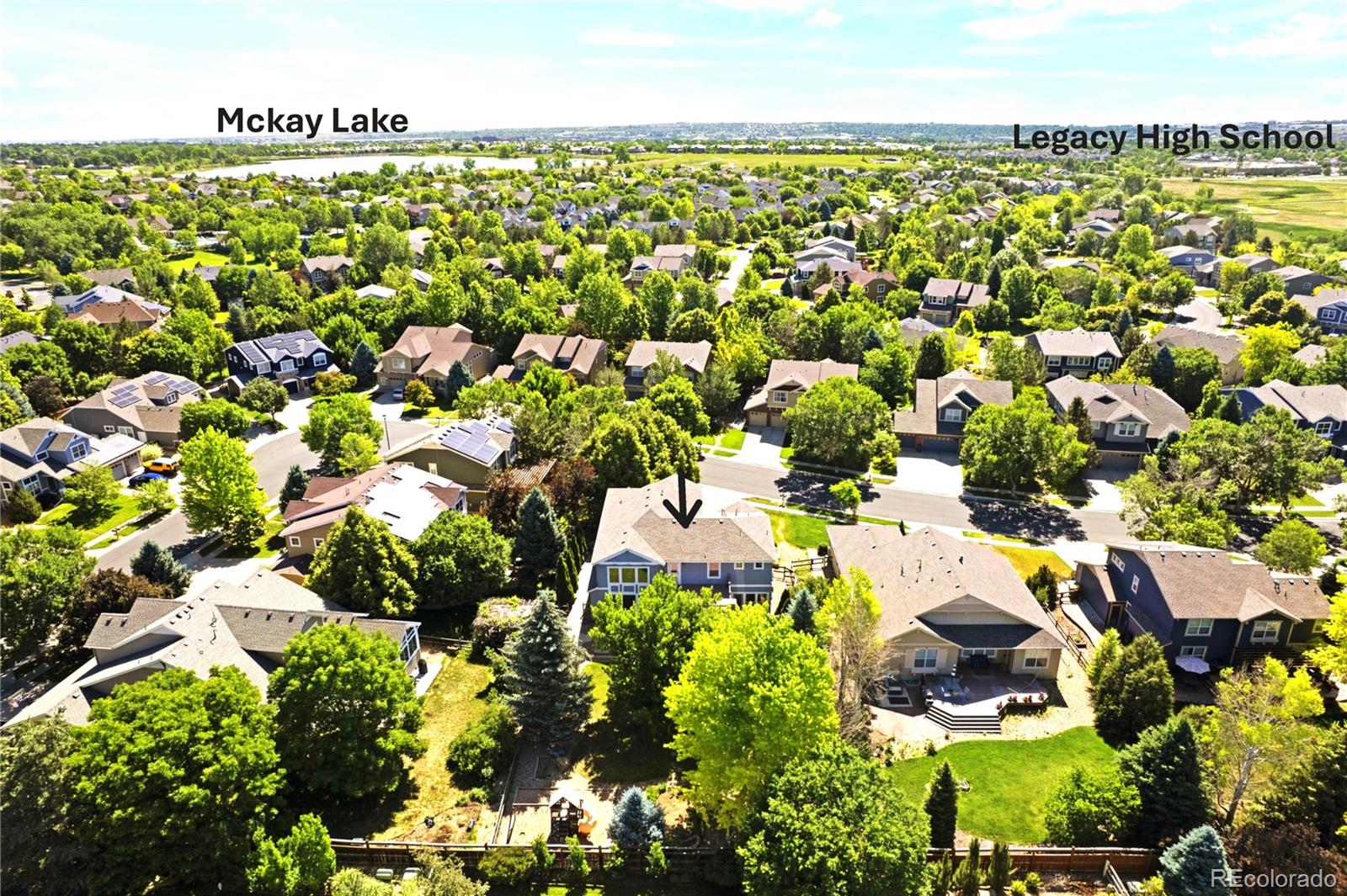 MLS Image #3 for 13971  star creek drive,broomfield, Colorado