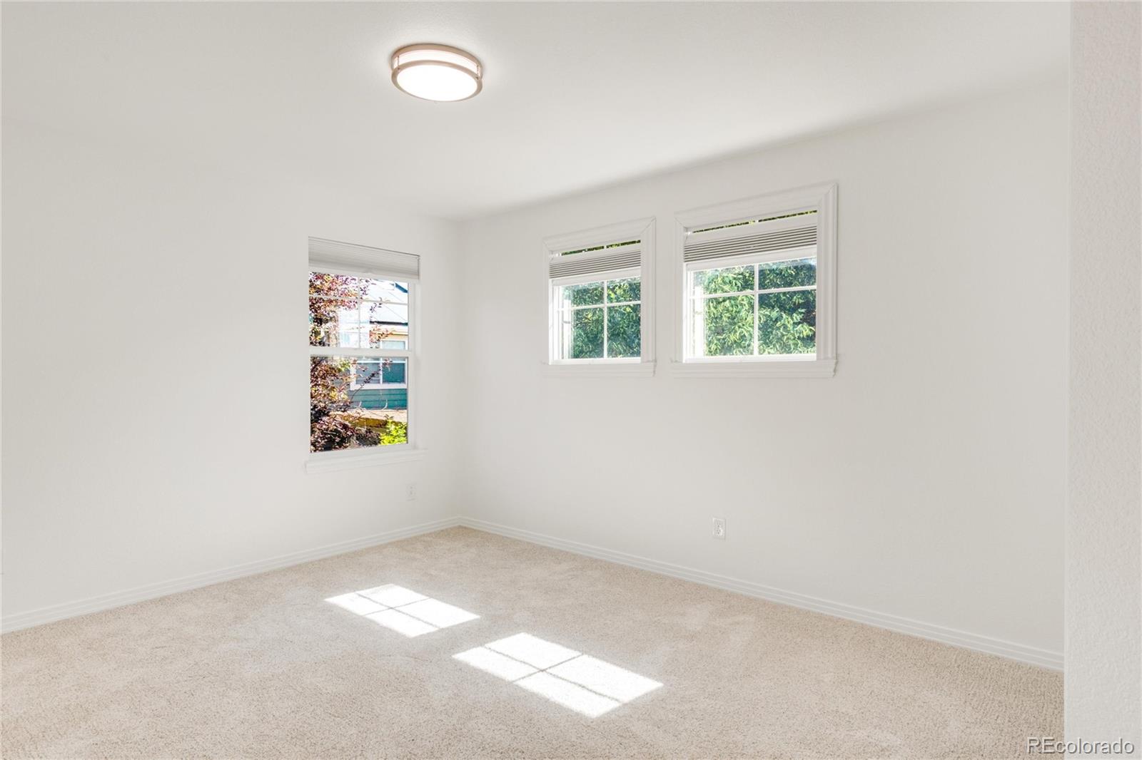 MLS Image #36 for 13971  star creek drive,broomfield, Colorado