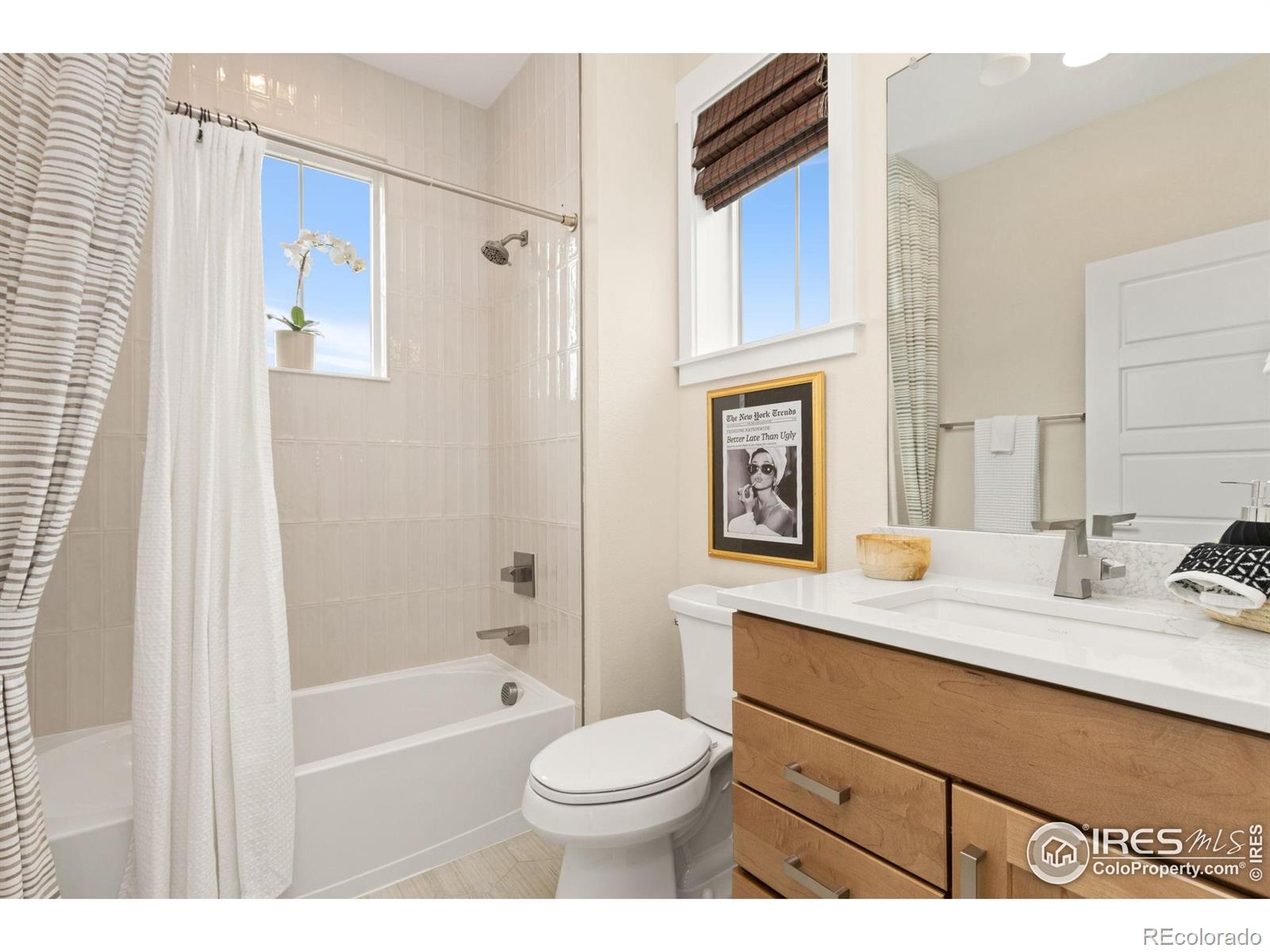 MLS Image #7 for 3004  helmsman street,fort collins, Colorado