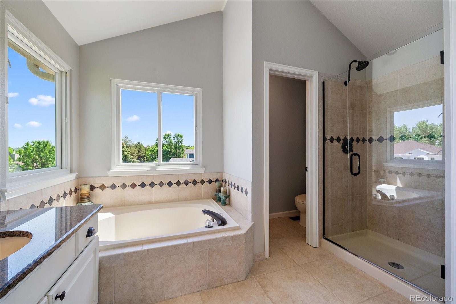 MLS Image #16 for 11506  greenbriar lane,parker, Colorado