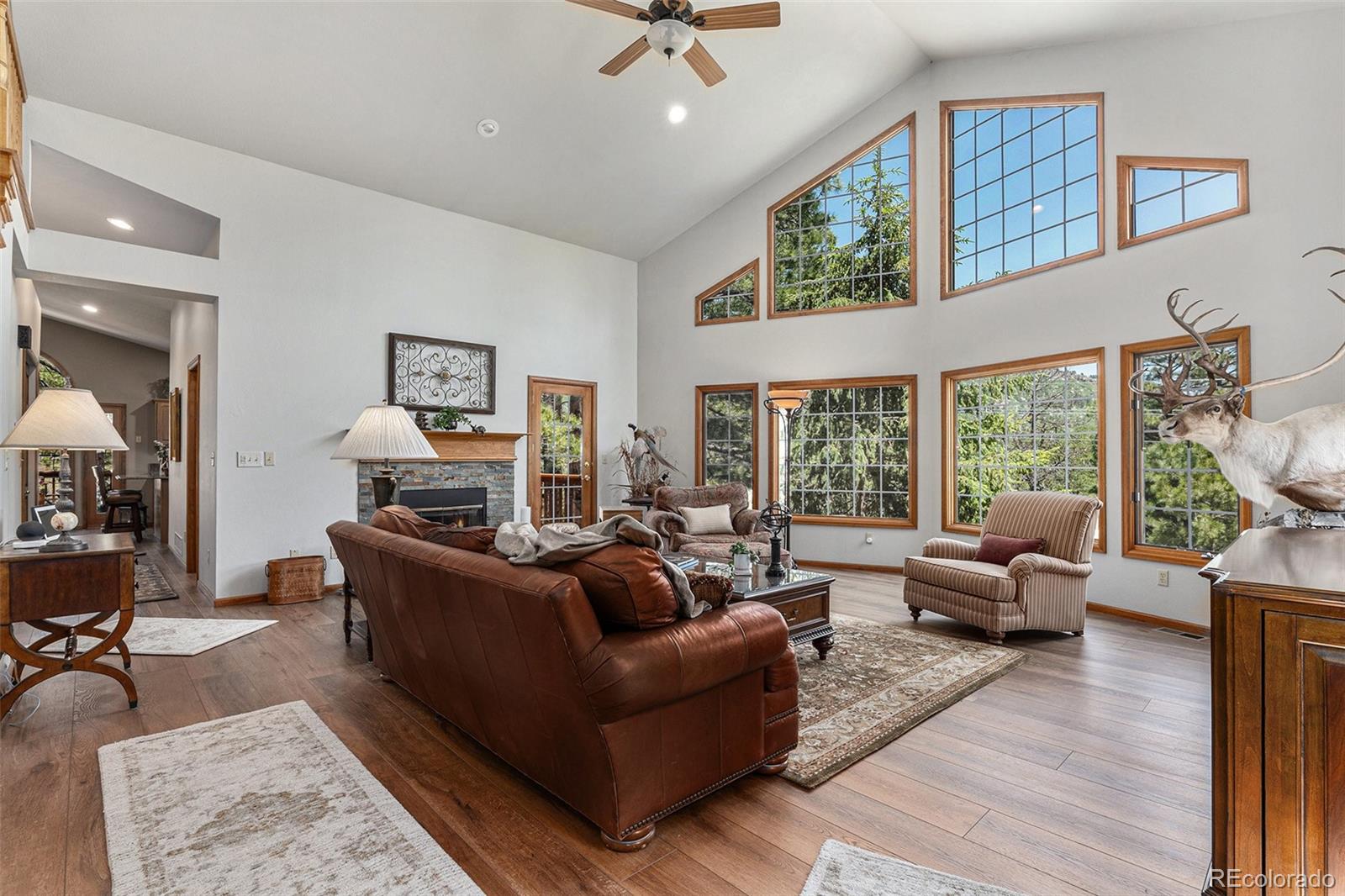 MLS Image #2 for 533  tenderfoot drive,larkspur, Colorado
