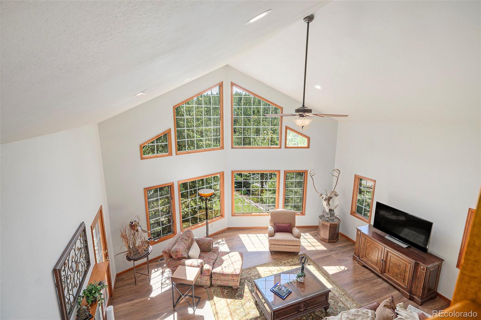 MLS Image #4 for 533  tenderfoot drive,larkspur, Colorado