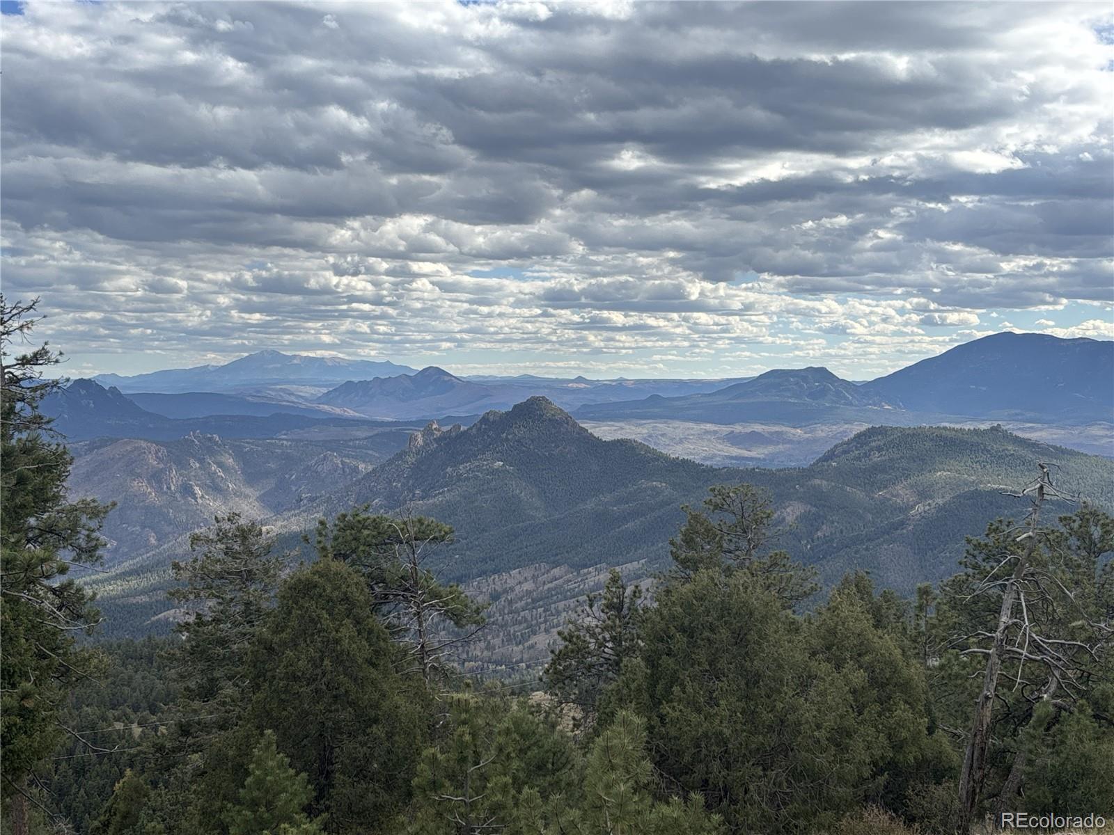 MLS Image #13 for 13954  pine country lane,conifer, Colorado