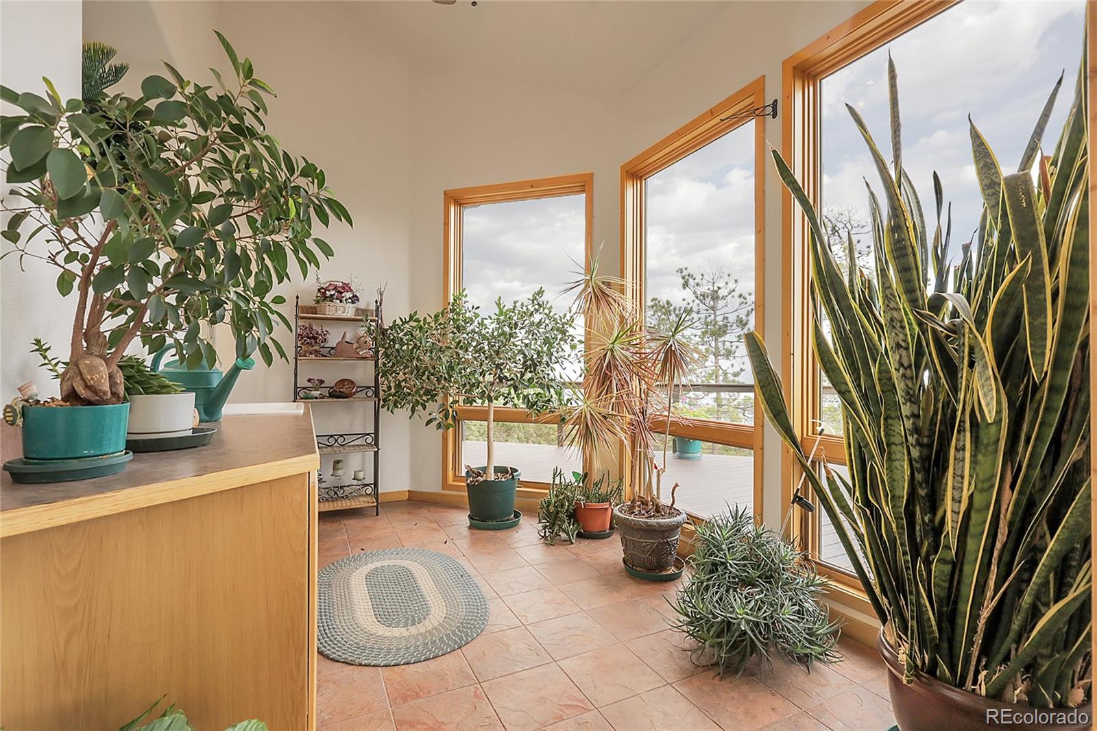 MLS Image #14 for 13954  pine country lane,conifer, Colorado