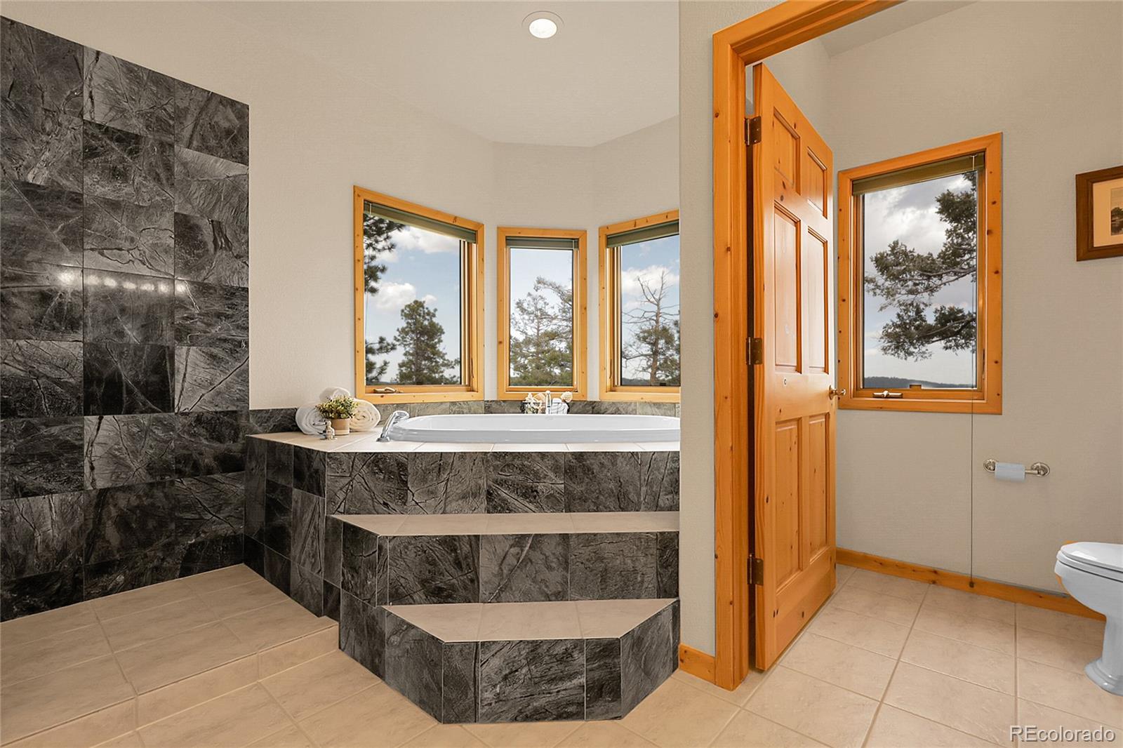 MLS Image #19 for 13954  pine country lane,conifer, Colorado