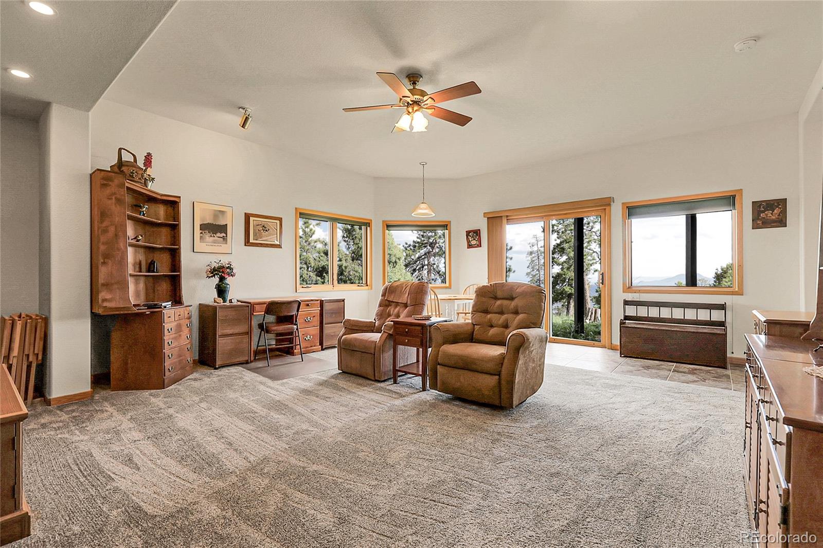 MLS Image #26 for 13954  pine country lane,conifer, Colorado