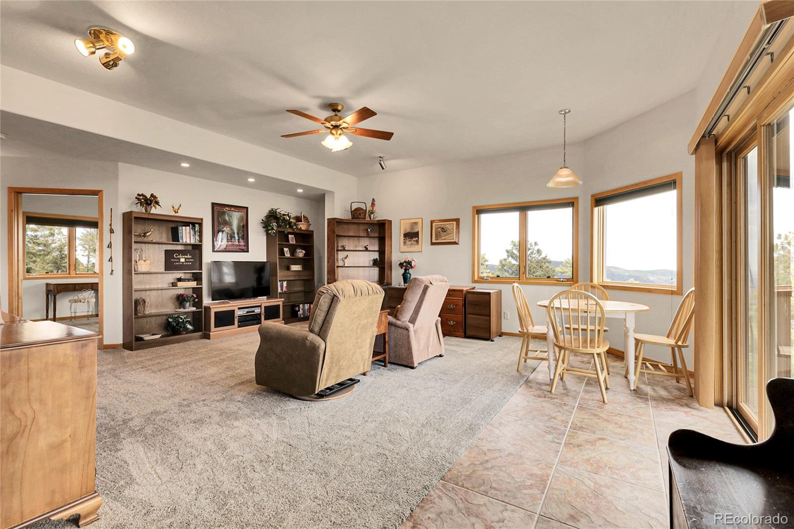 MLS Image #27 for 13954  pine country lane,conifer, Colorado