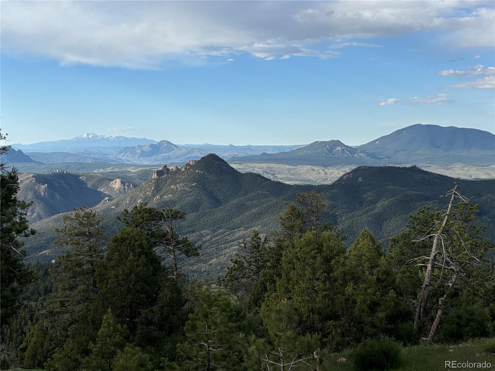 MLS Image #8 for 13954  pine country lane,conifer, Colorado
