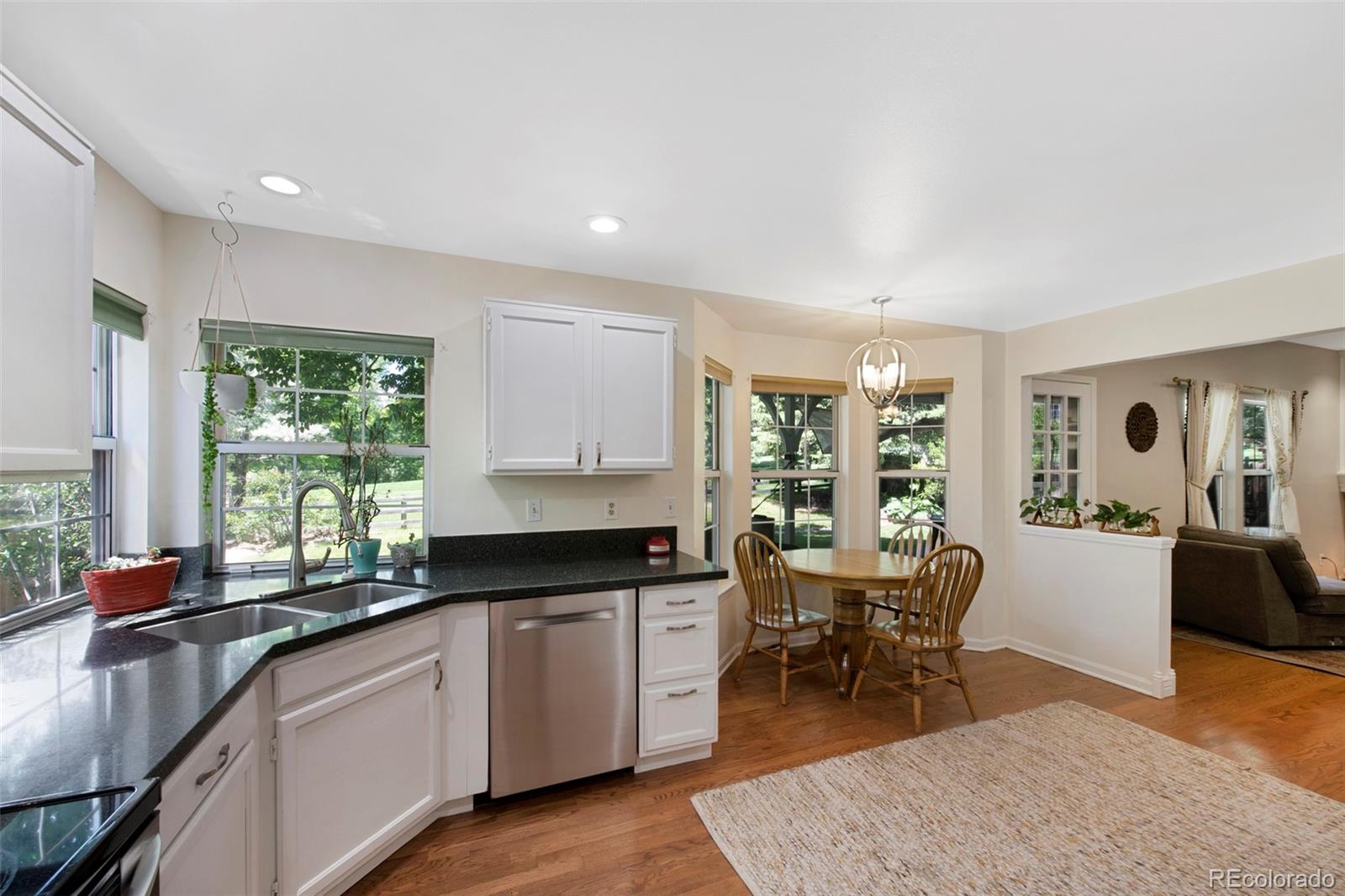 MLS Image #14 for 7773  gunsight pass,littleton, Colorado