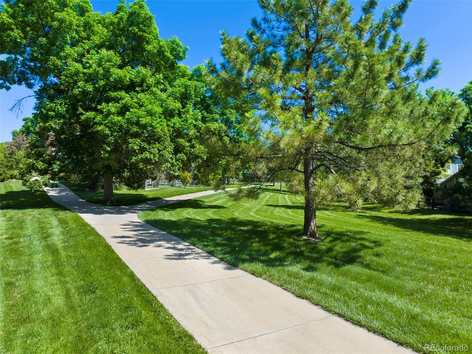 MLS Image #43 for 7773  gunsight pass,littleton, Colorado