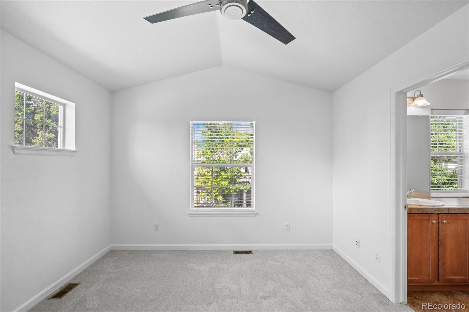 MLS Image #22 for 701 n roslyn street,denver, Colorado