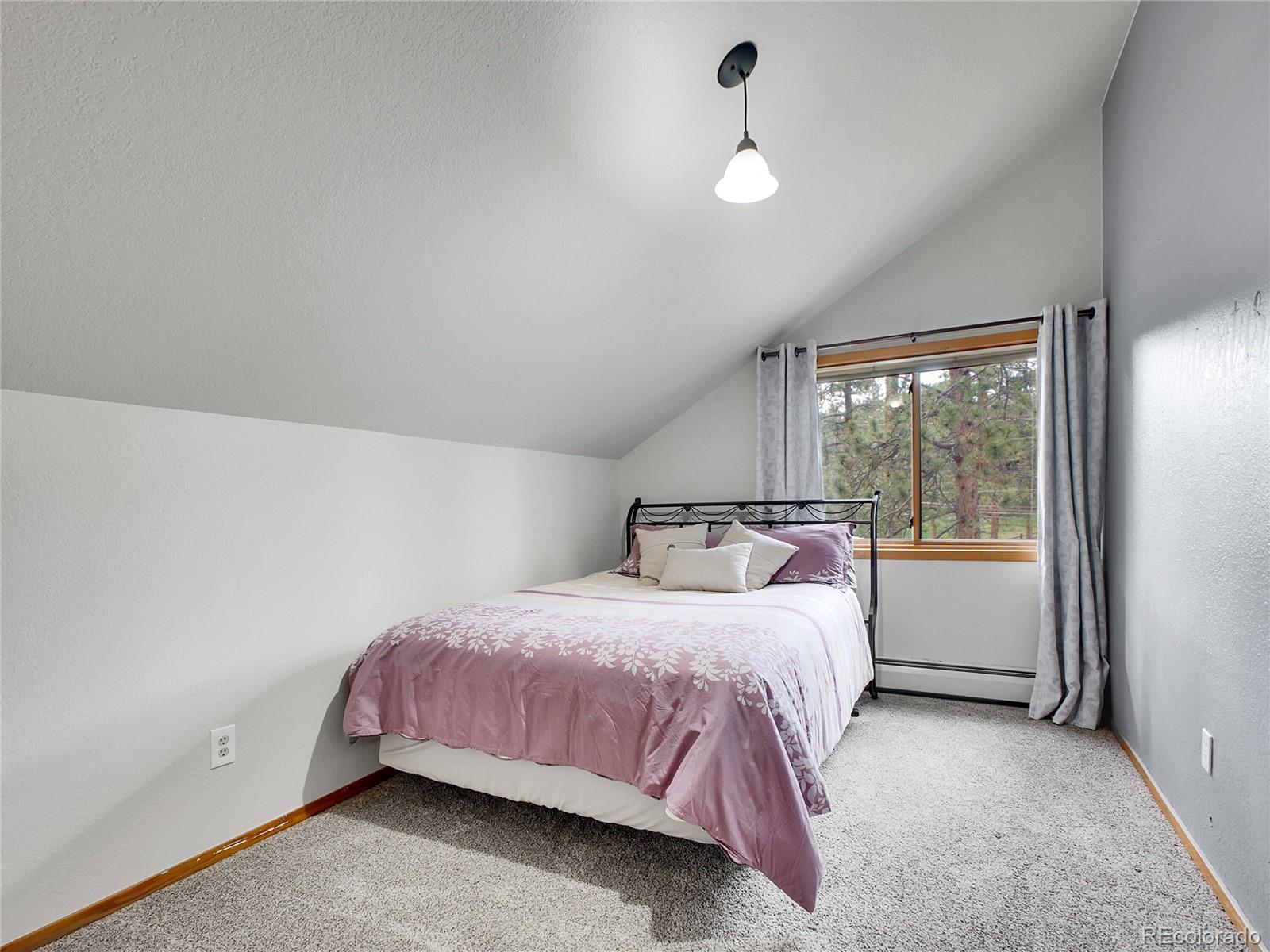 MLS Image #19 for 26765  bradley street,conifer, Colorado