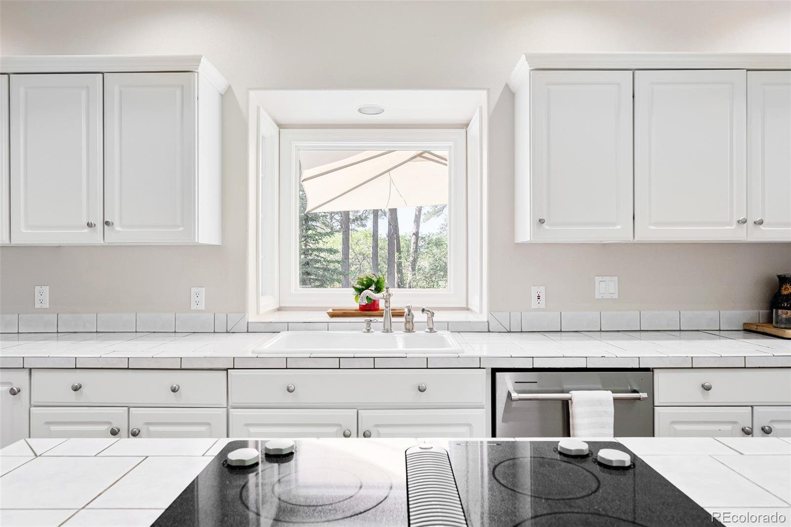 MLS Image #15 for 407 s white tail drive,franktown, Colorado