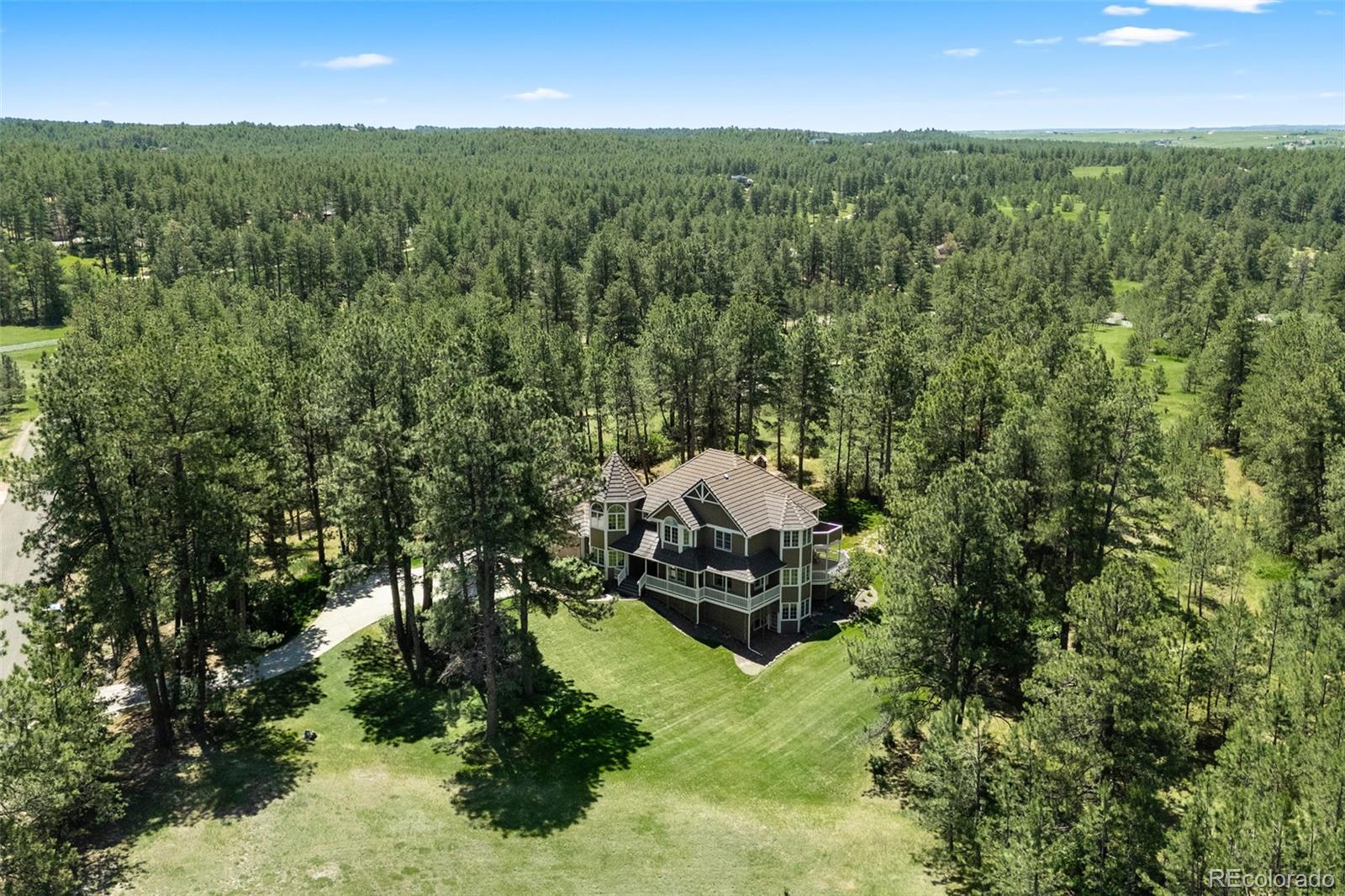 MLS Image #5 for 407 s white tail drive,franktown, Colorado