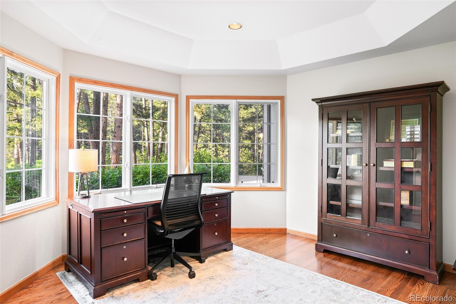 MLS Image #9 for 407 s white tail drive,franktown, Colorado