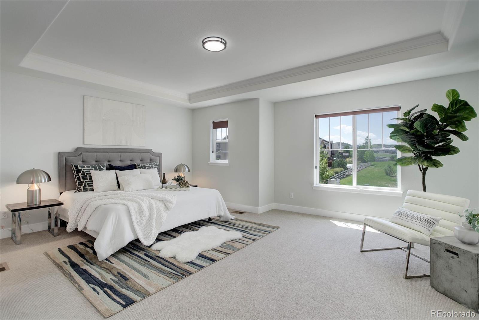 MLS Image #16 for 5528  echo hollow street,castle rock, Colorado