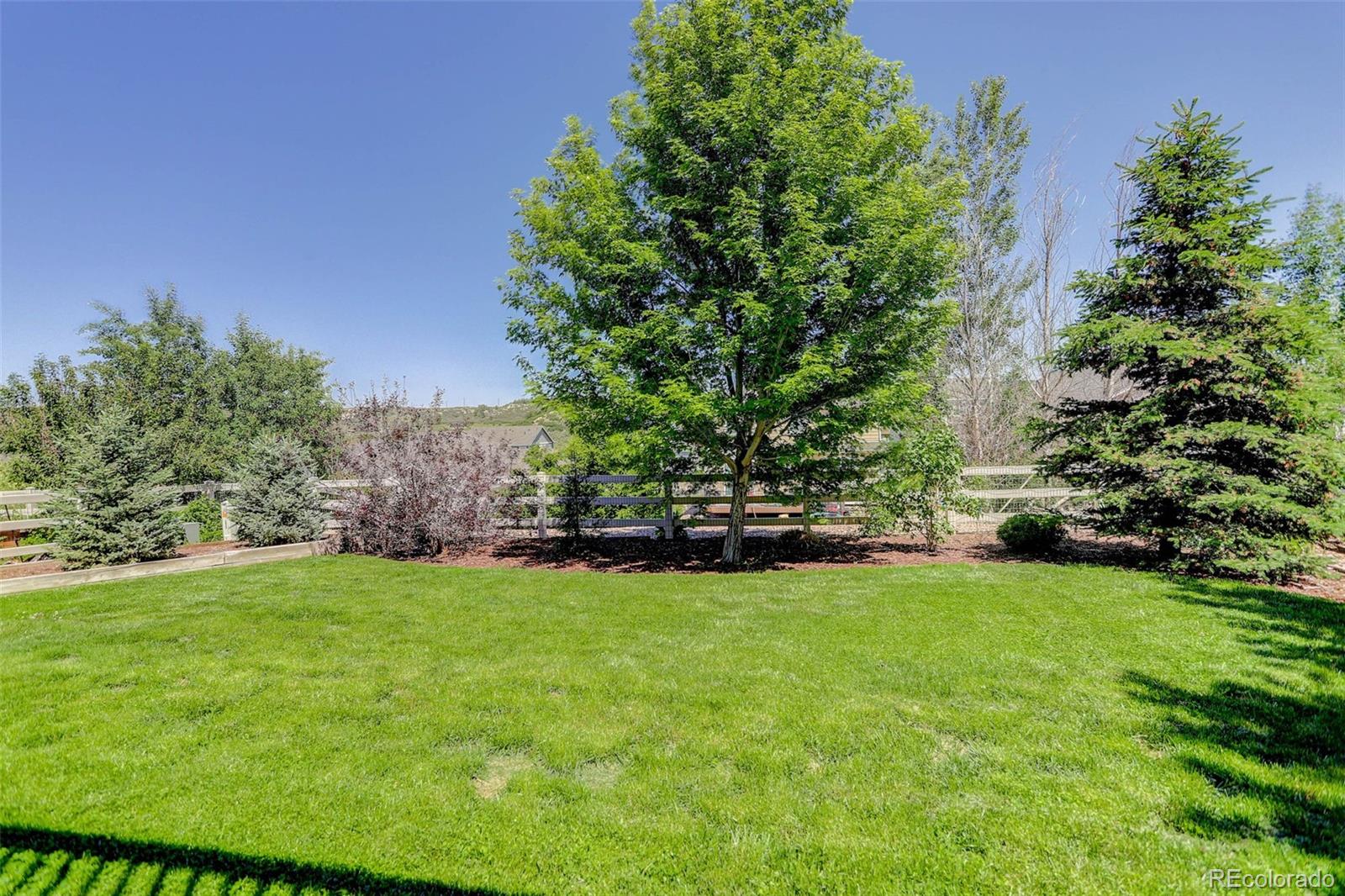 MLS Image #32 for 5528  echo hollow street,castle rock, Colorado