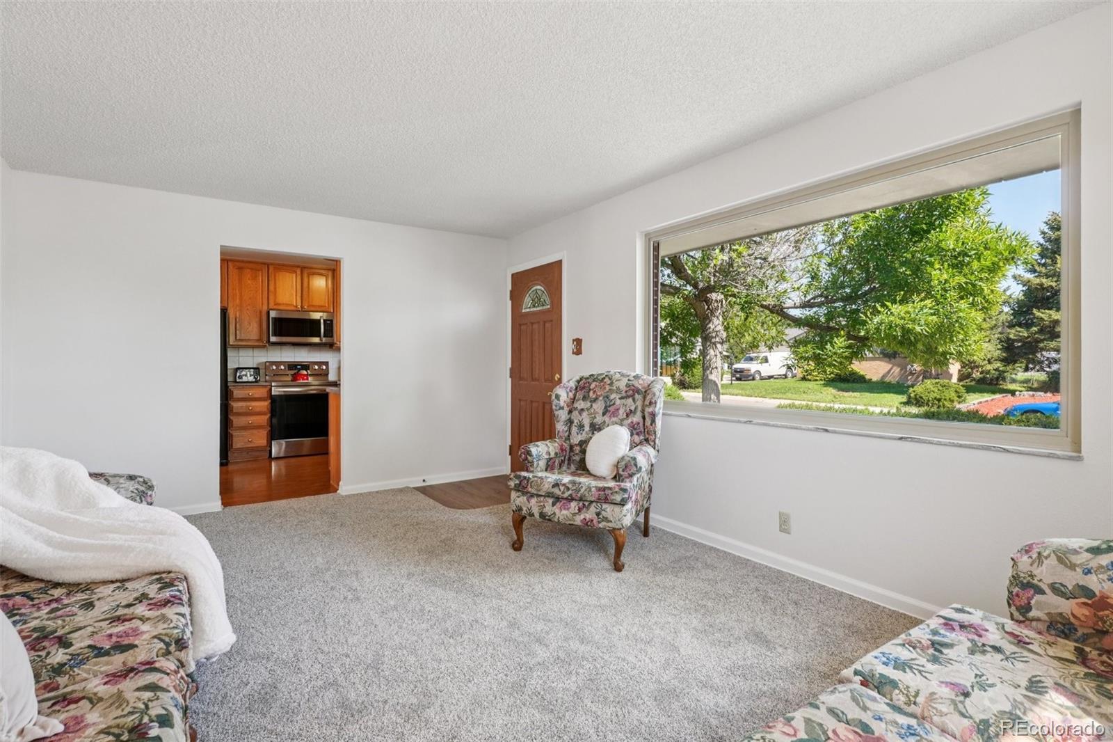 MLS Image #7 for 11349  downing drive,northglenn, Colorado