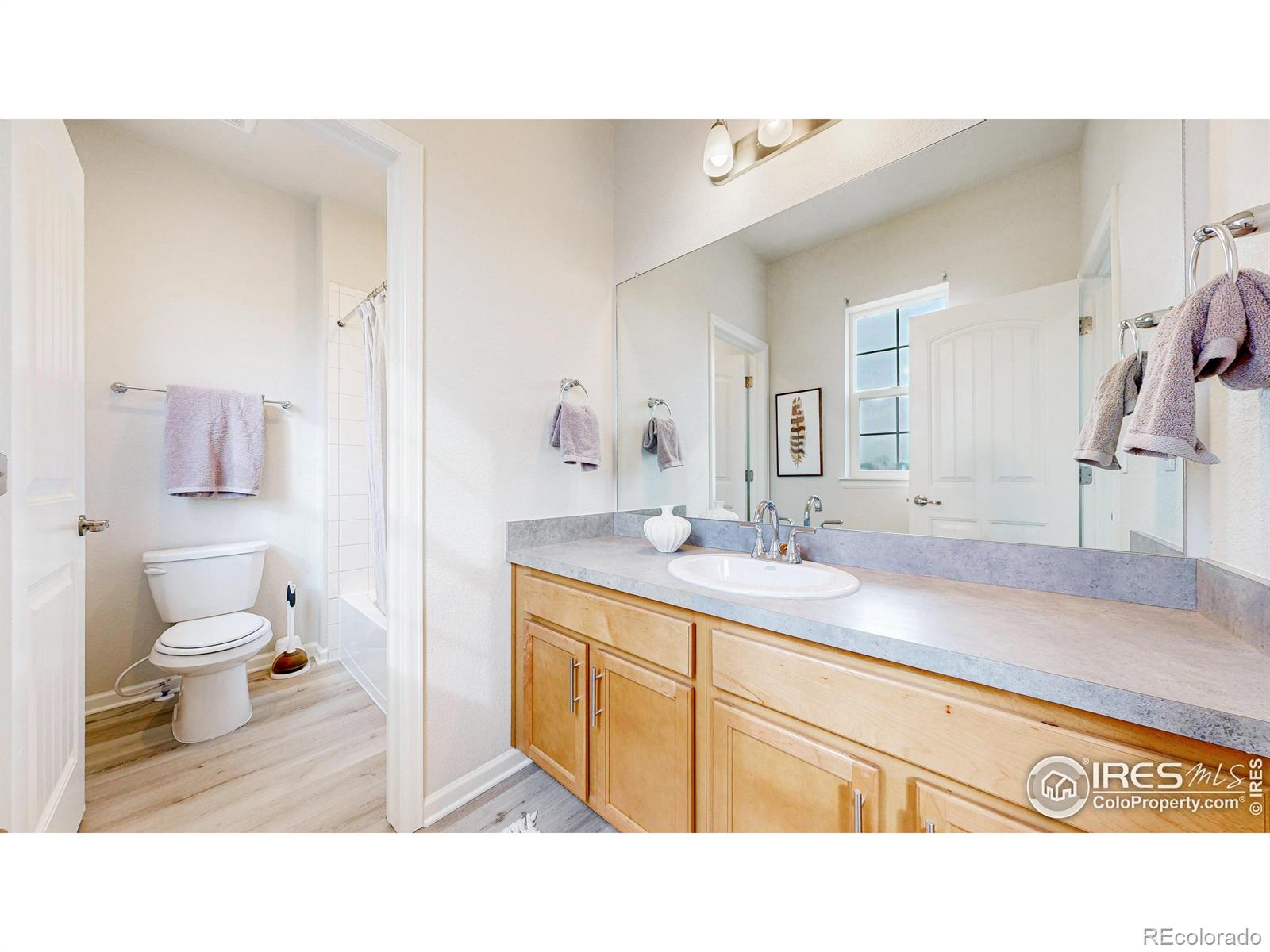 MLS Image #28 for 10604  reunion parkway,commerce city, Colorado