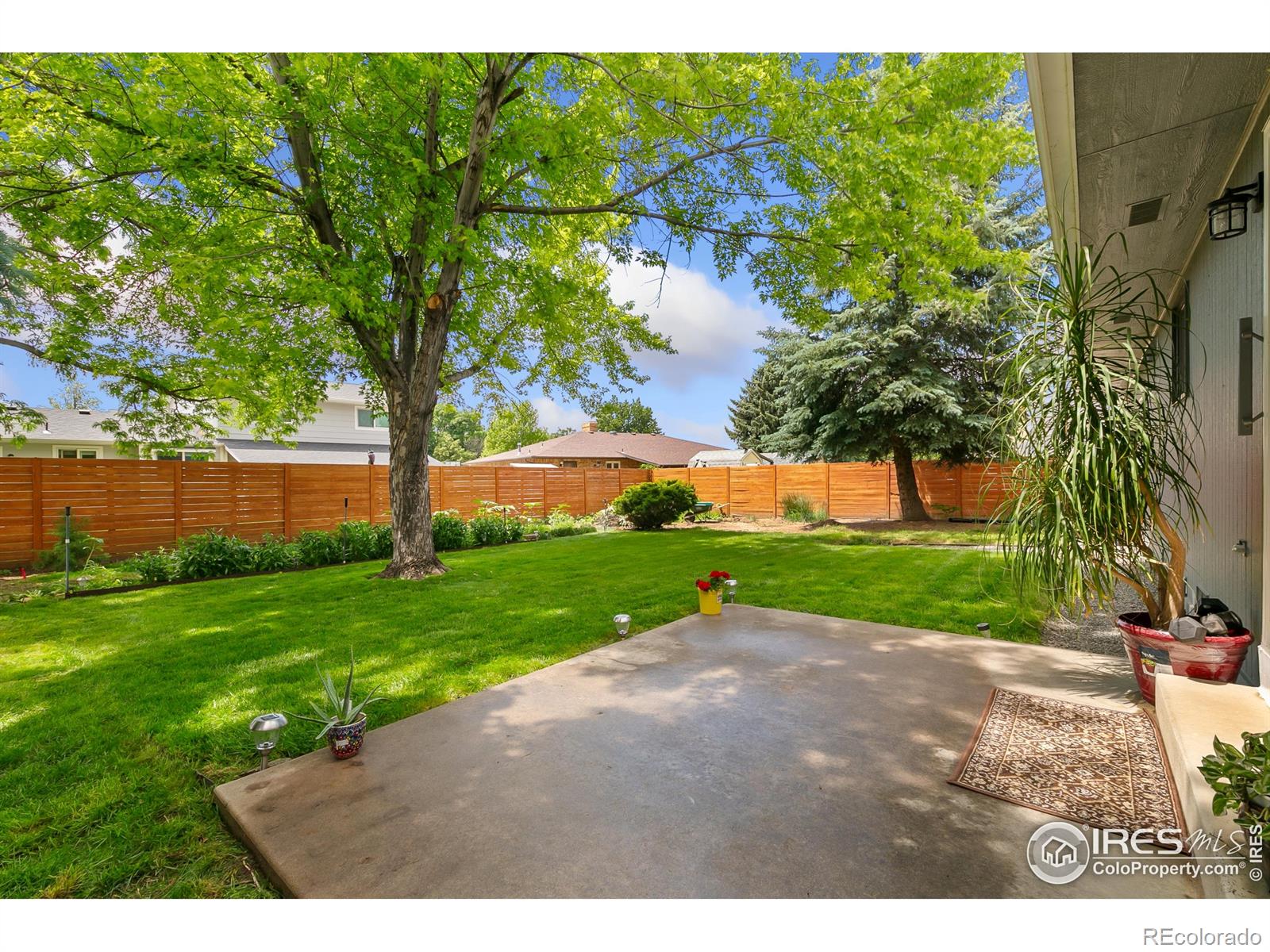 MLS Image #29 for 1069  pinyon drive,windsor, Colorado