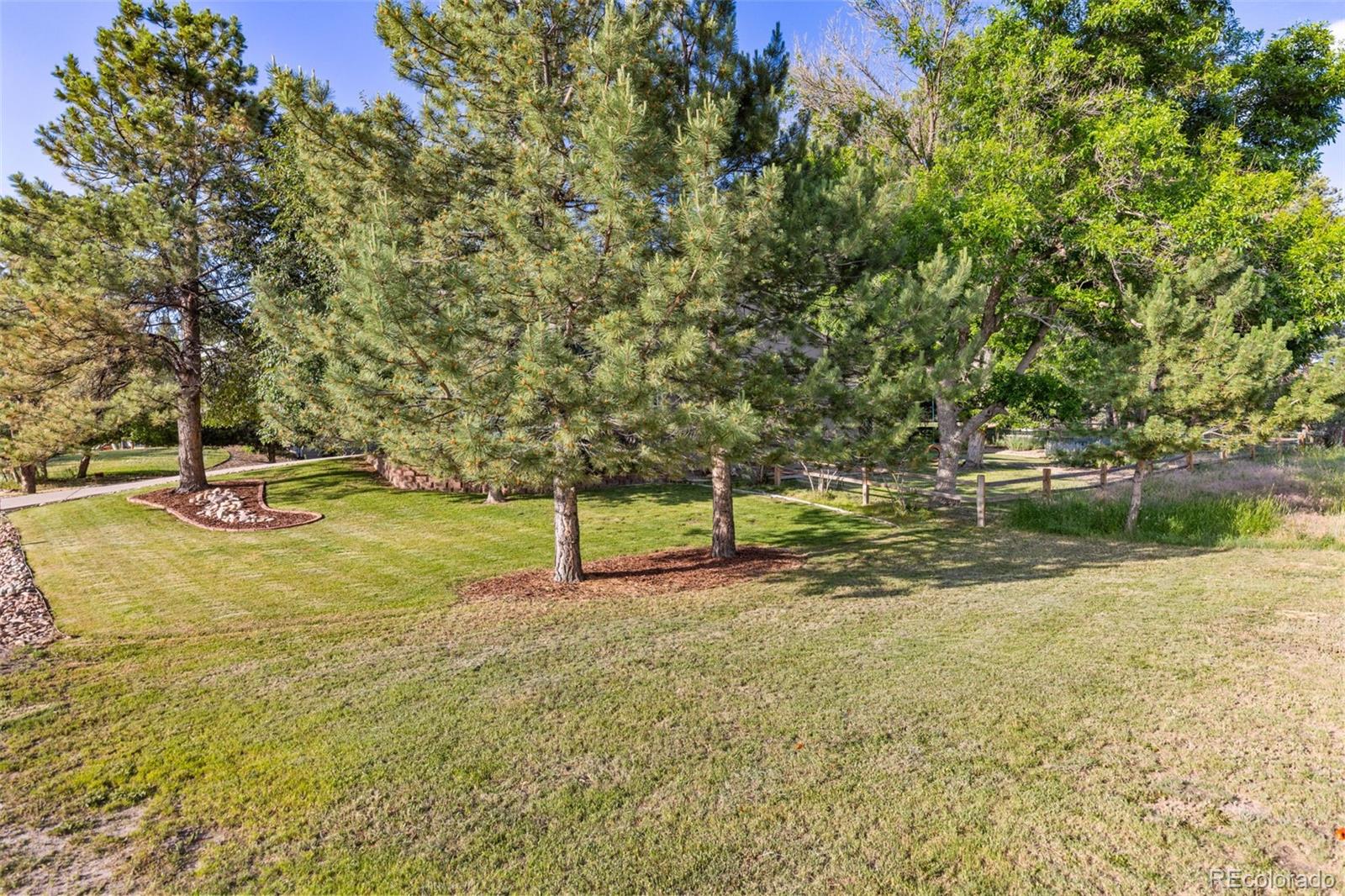 MLS Image #28 for 5506  irish pat murphy drive,parker, Colorado