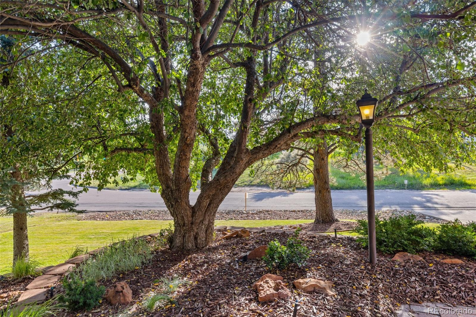 MLS Image #29 for 5506  irish pat murphy drive,parker, Colorado