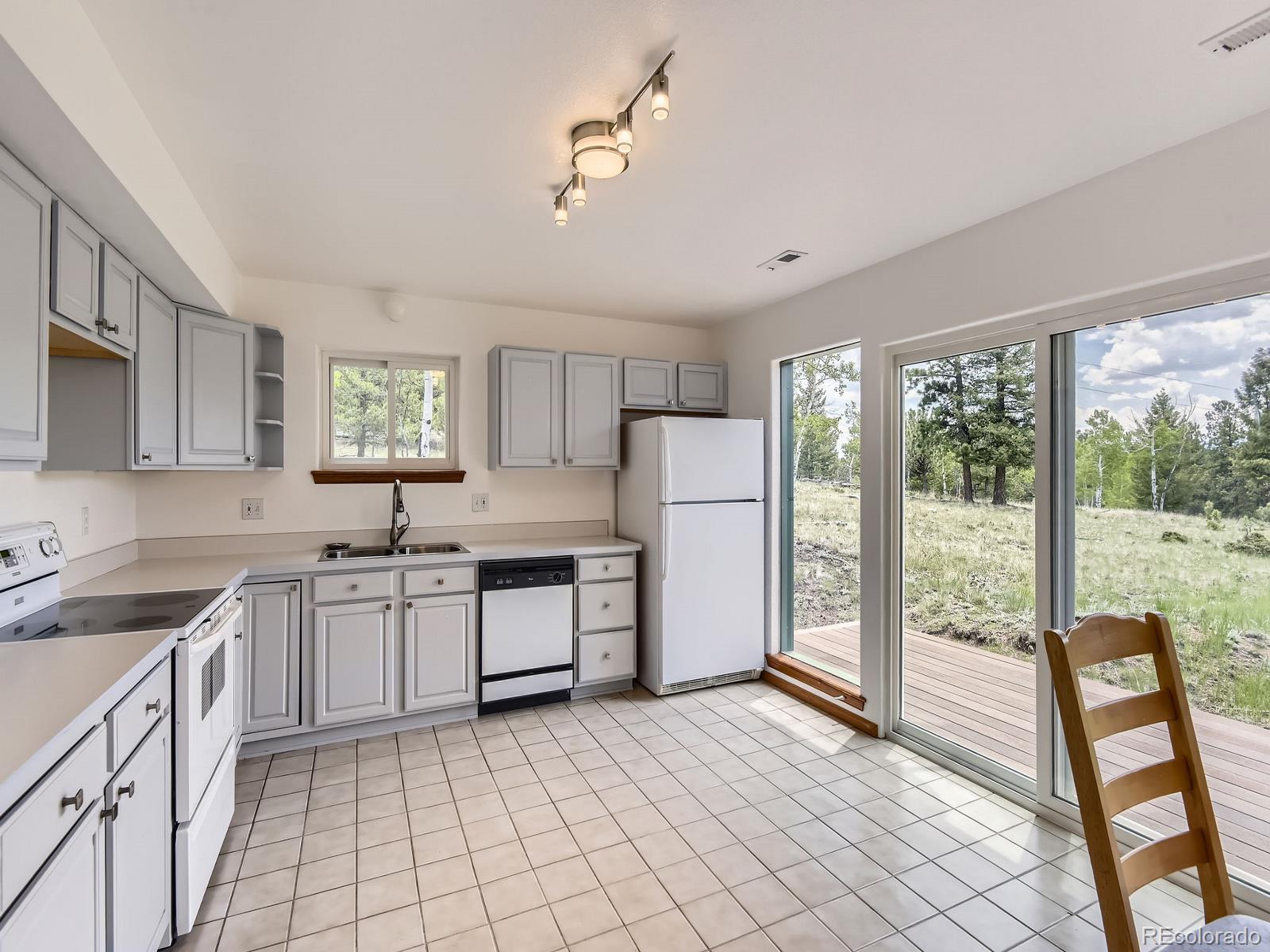 MLS Image #10 for 52  branding iron lane,bailey, Colorado