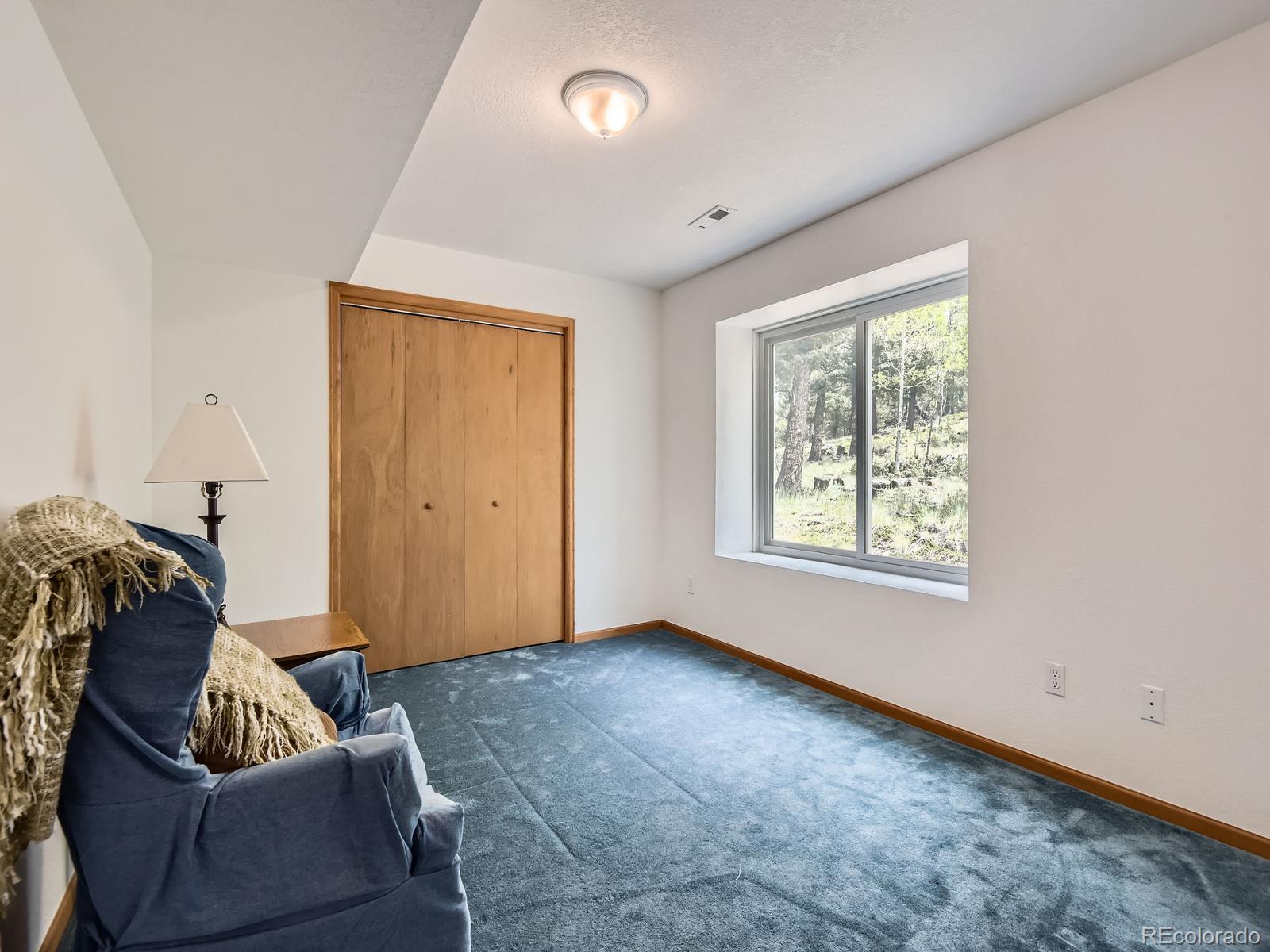 MLS Image #14 for 52  branding iron lane,bailey, Colorado