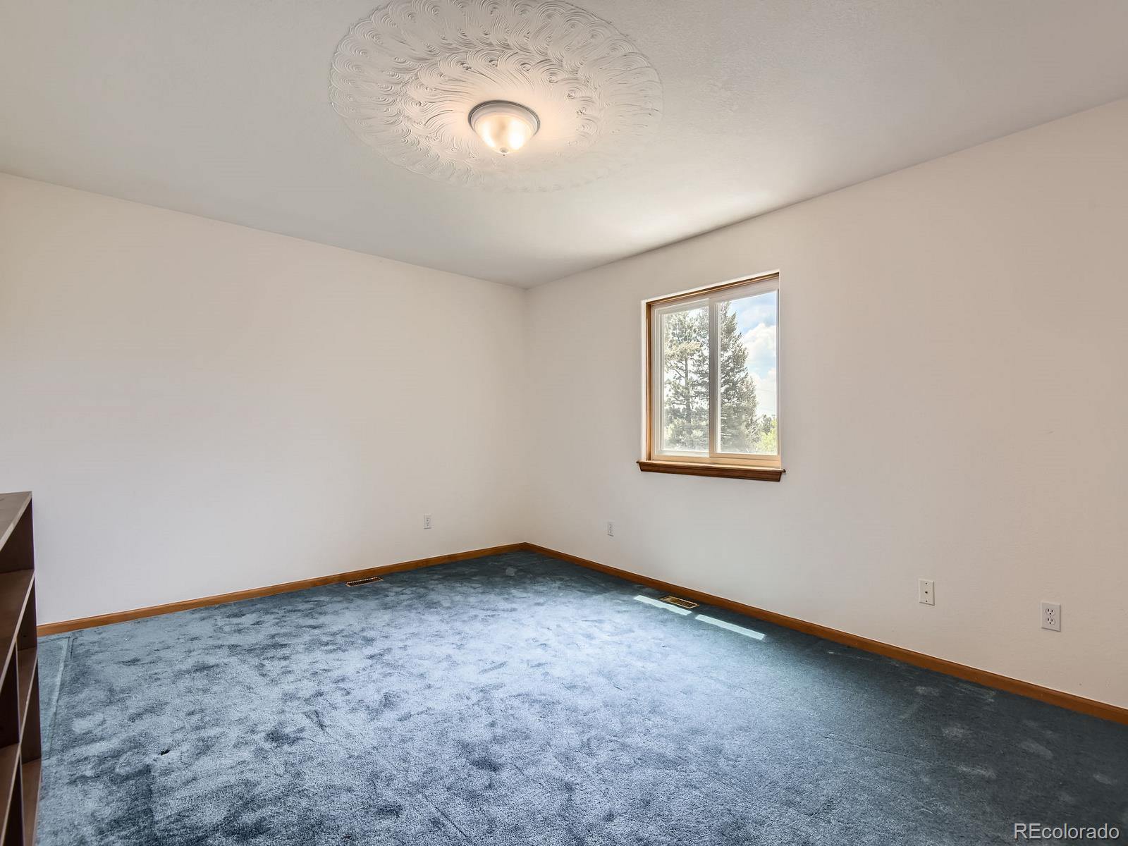 MLS Image #22 for 52  branding iron lane,bailey, Colorado