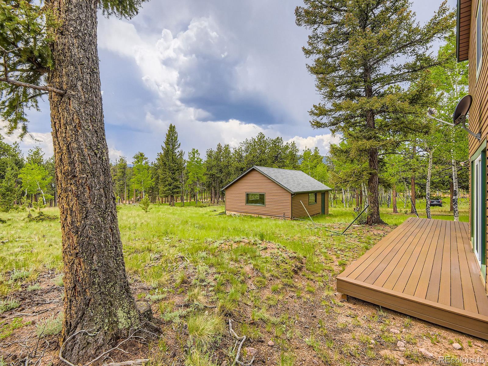 MLS Image #25 for 52  branding iron lane,bailey, Colorado