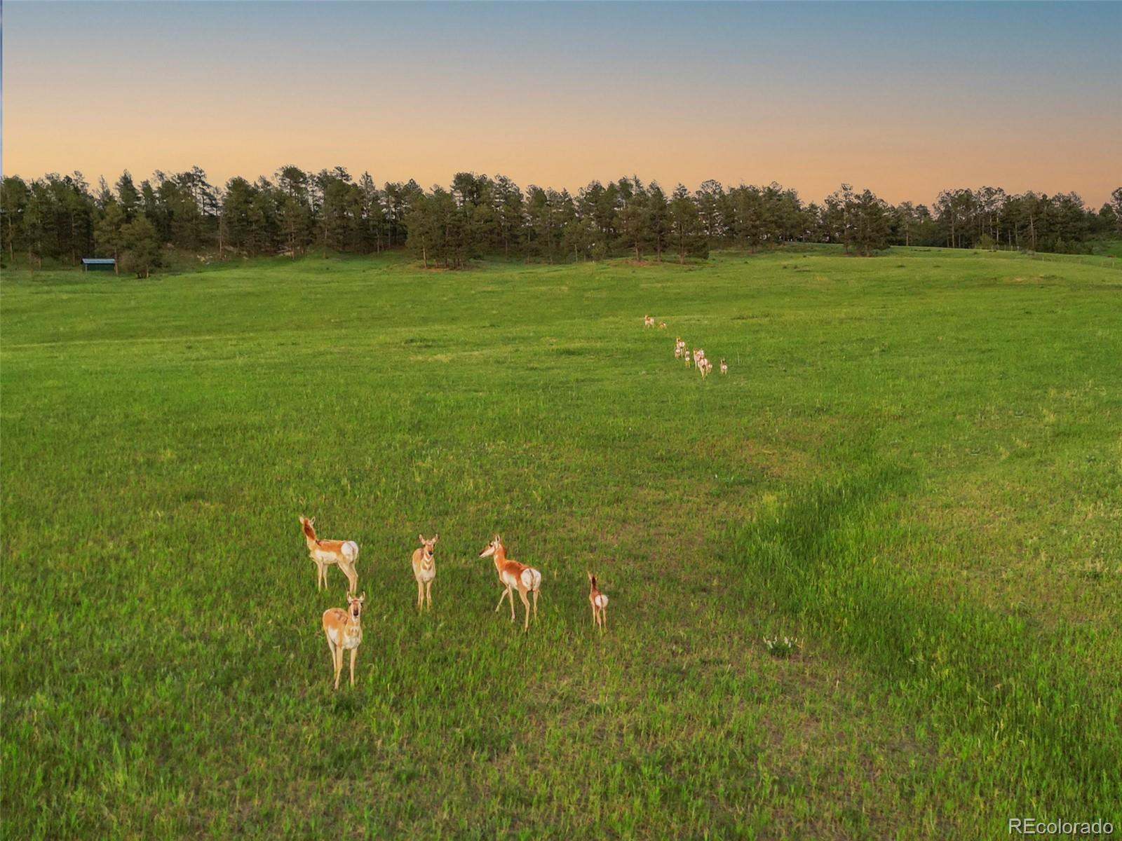 MLS Image #13 for 1752  private road 130 ,elizabeth, Colorado