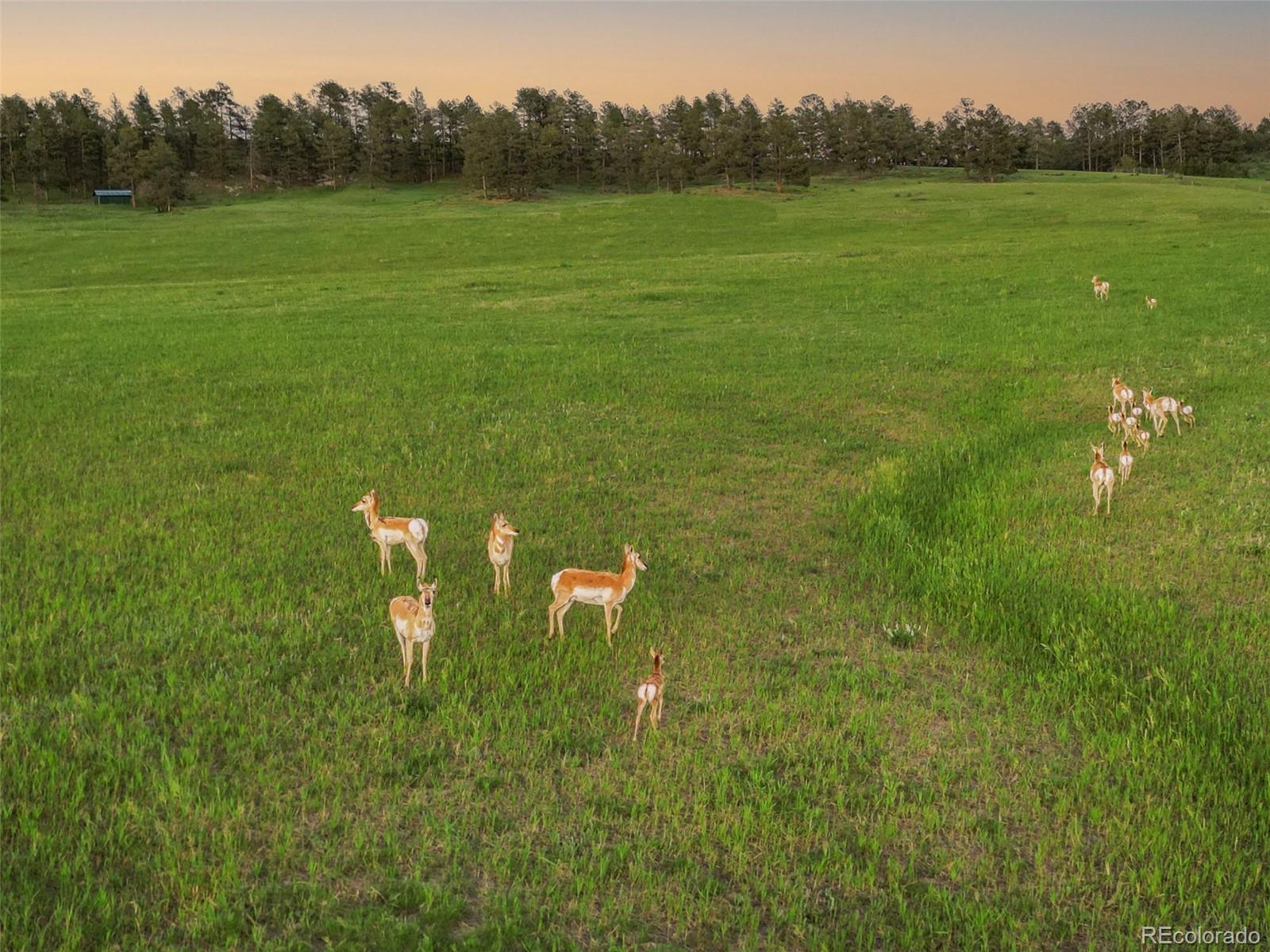 MLS Image #44 for 1752  private road 130 ,elizabeth, Colorado