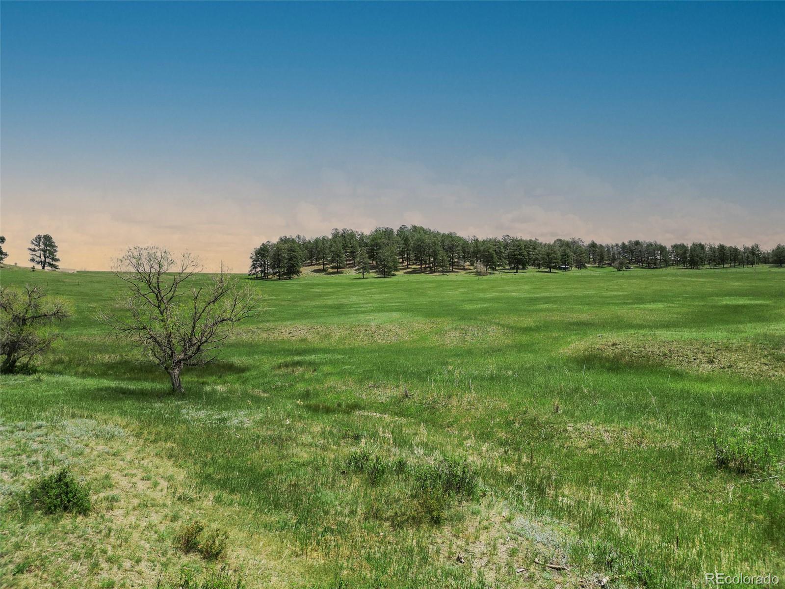 MLS Image #9 for 1752  private road 130 ,elizabeth, Colorado