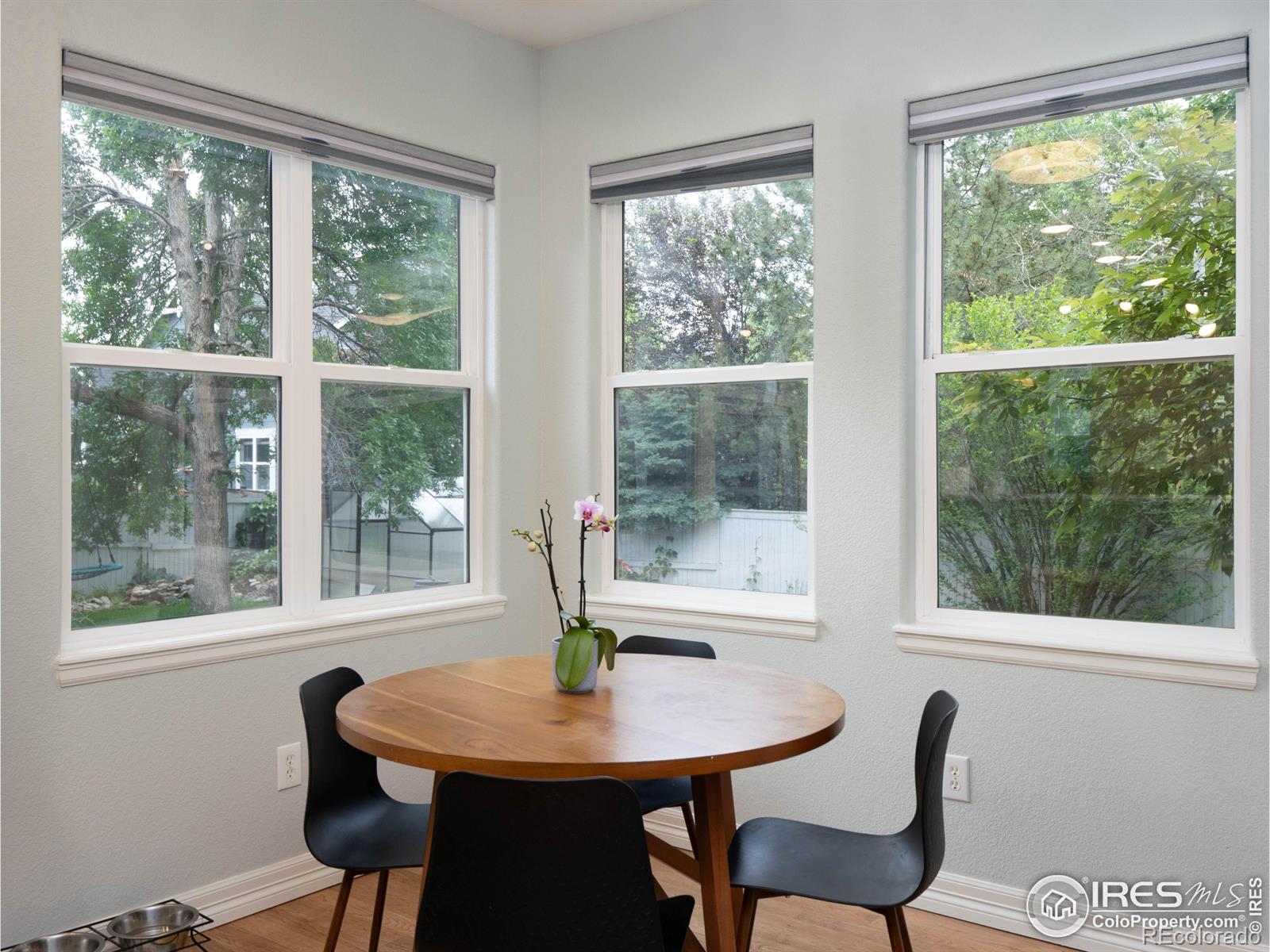 MLS Image #15 for 1208  aruba drive,fort collins, Colorado