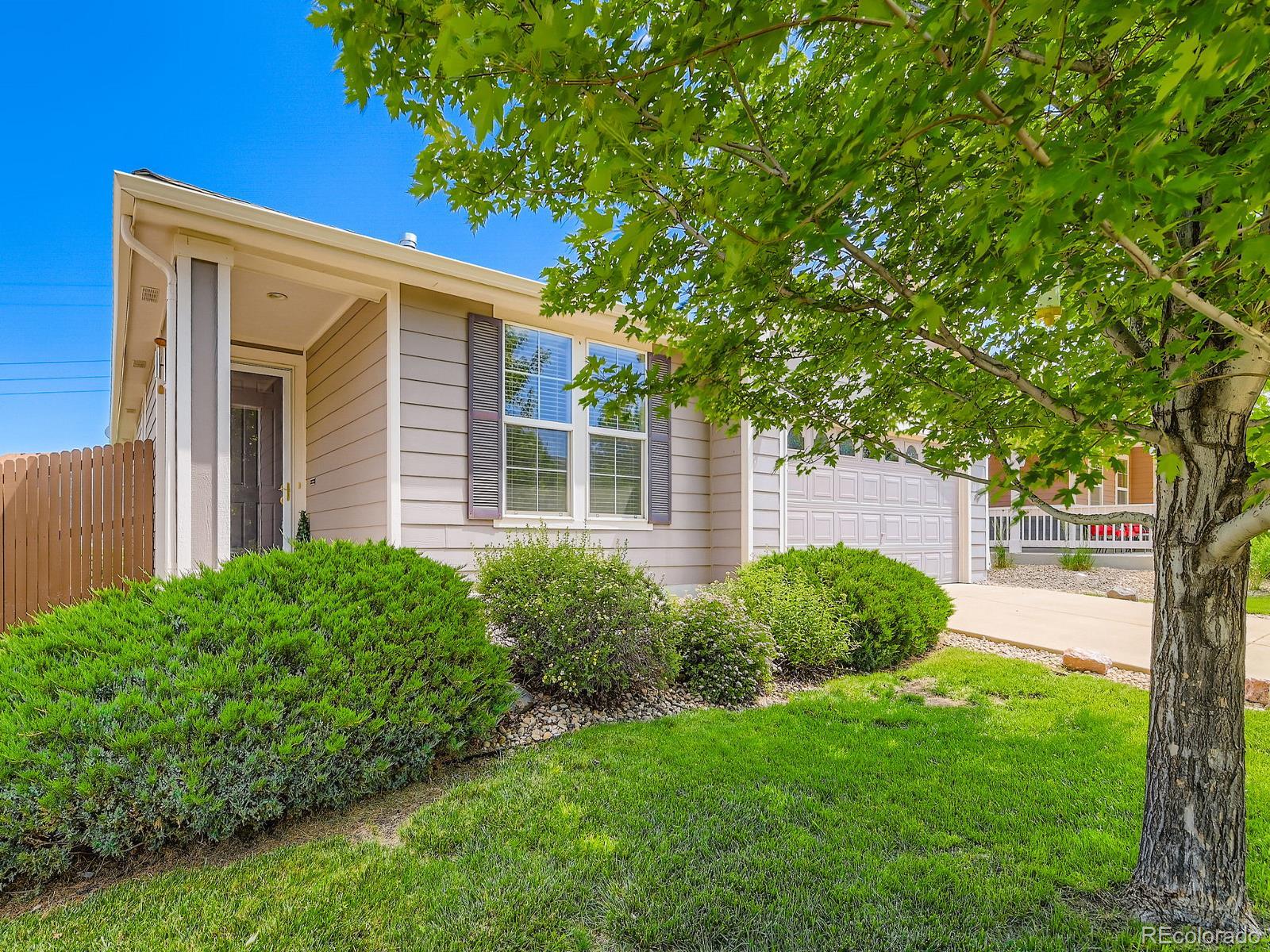 MLS Image #2 for 448  bonanza drive,erie, Colorado