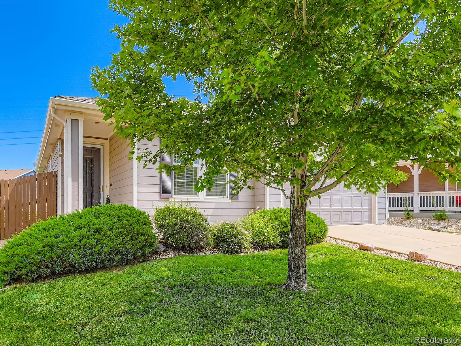 MLS Image #3 for 448  bonanza drive,erie, Colorado