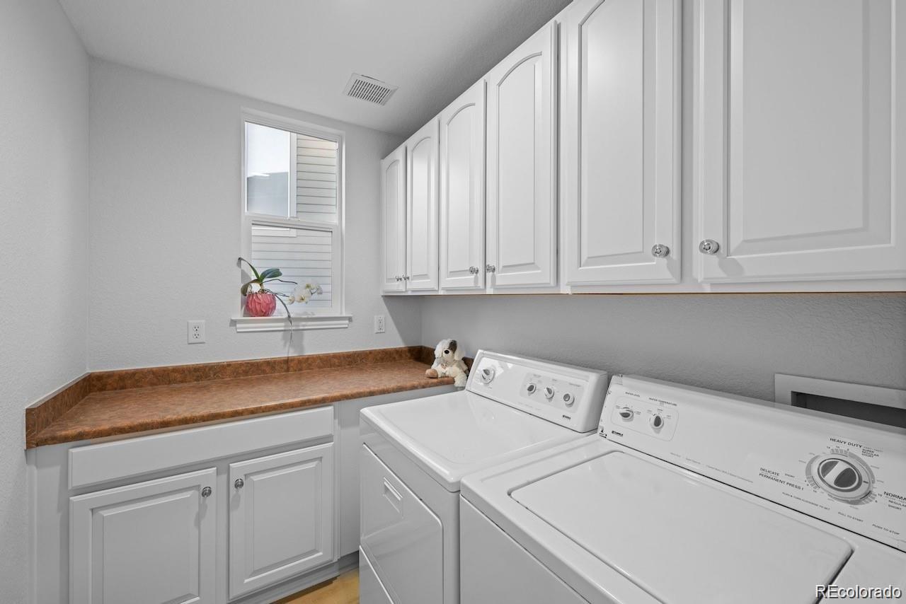 MLS Image #20 for 10837  fox sedge way,highlands ranch, Colorado