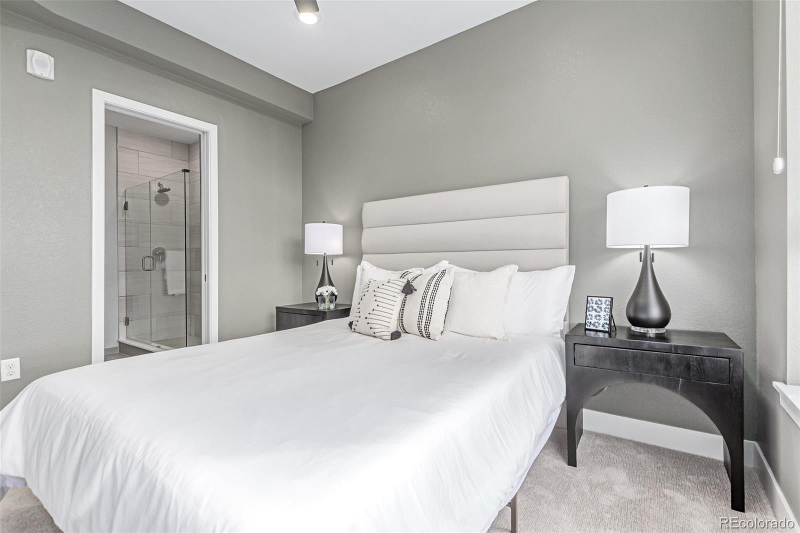 MLS Image #18 for 2436  welton street,denver, Colorado